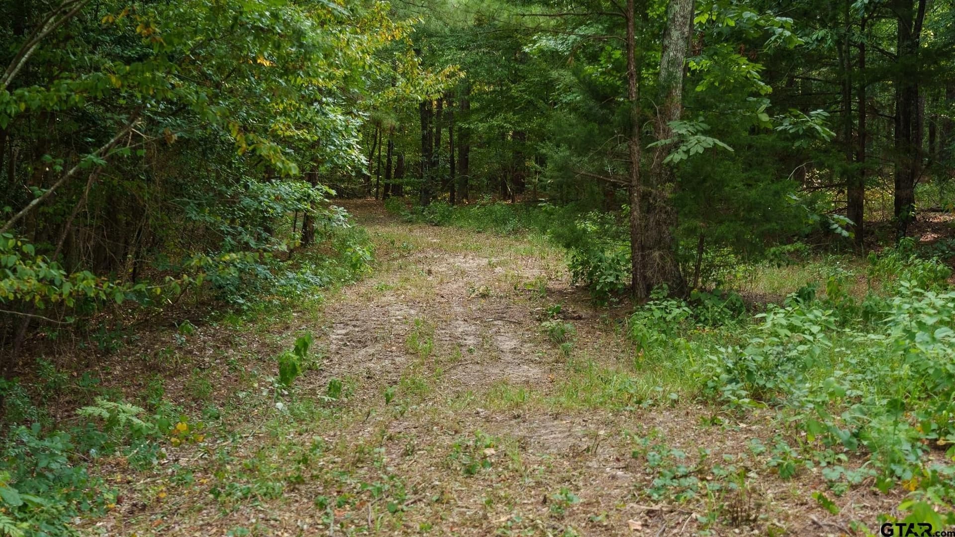 119 acres in Smith County - photo 30