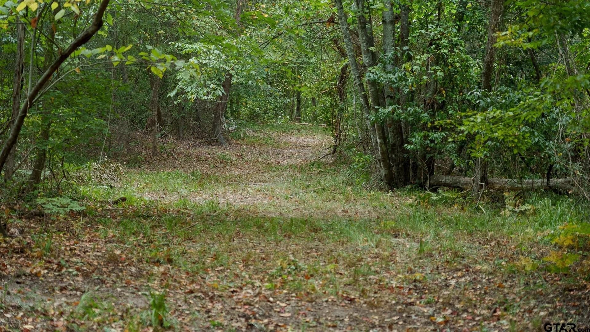 119 acres in Smith County - photo 15