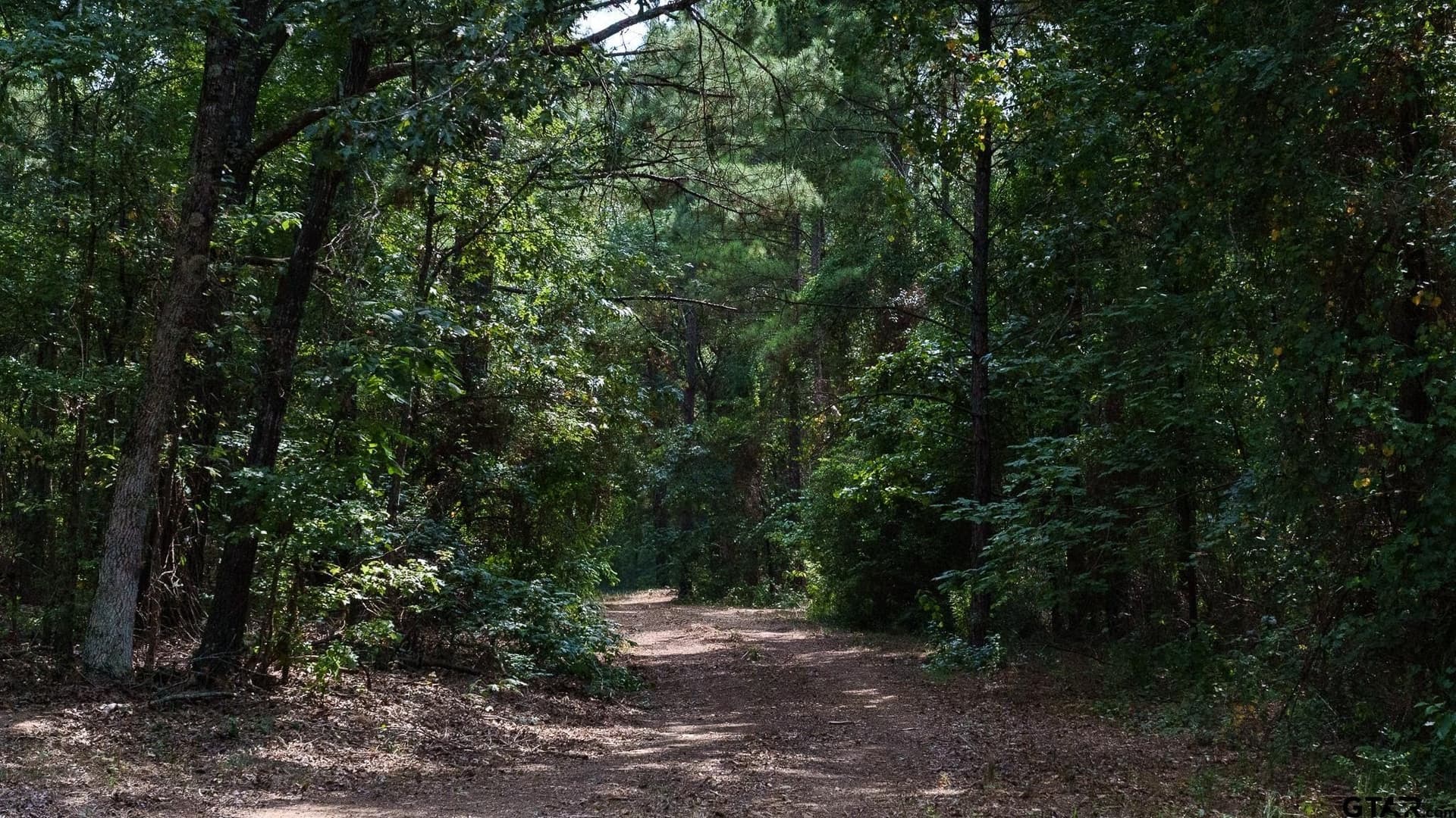 119 acres in Smith County - photo 10