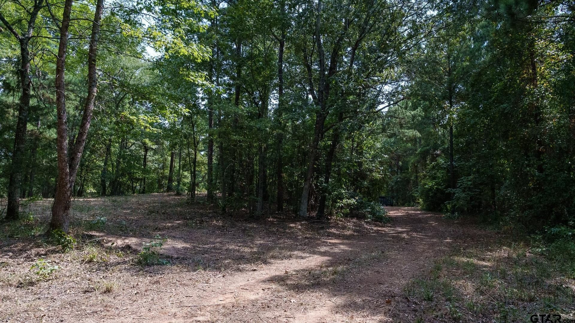 119 acres in Smith County - photo 9