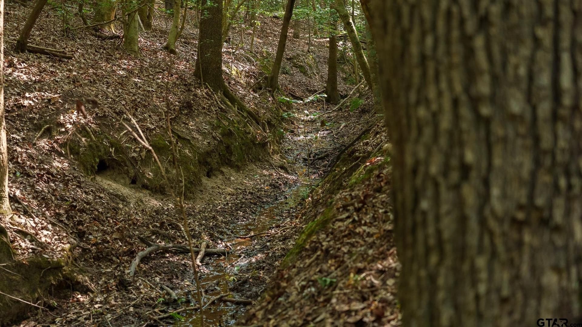 119 acres in Smith County - photo 16