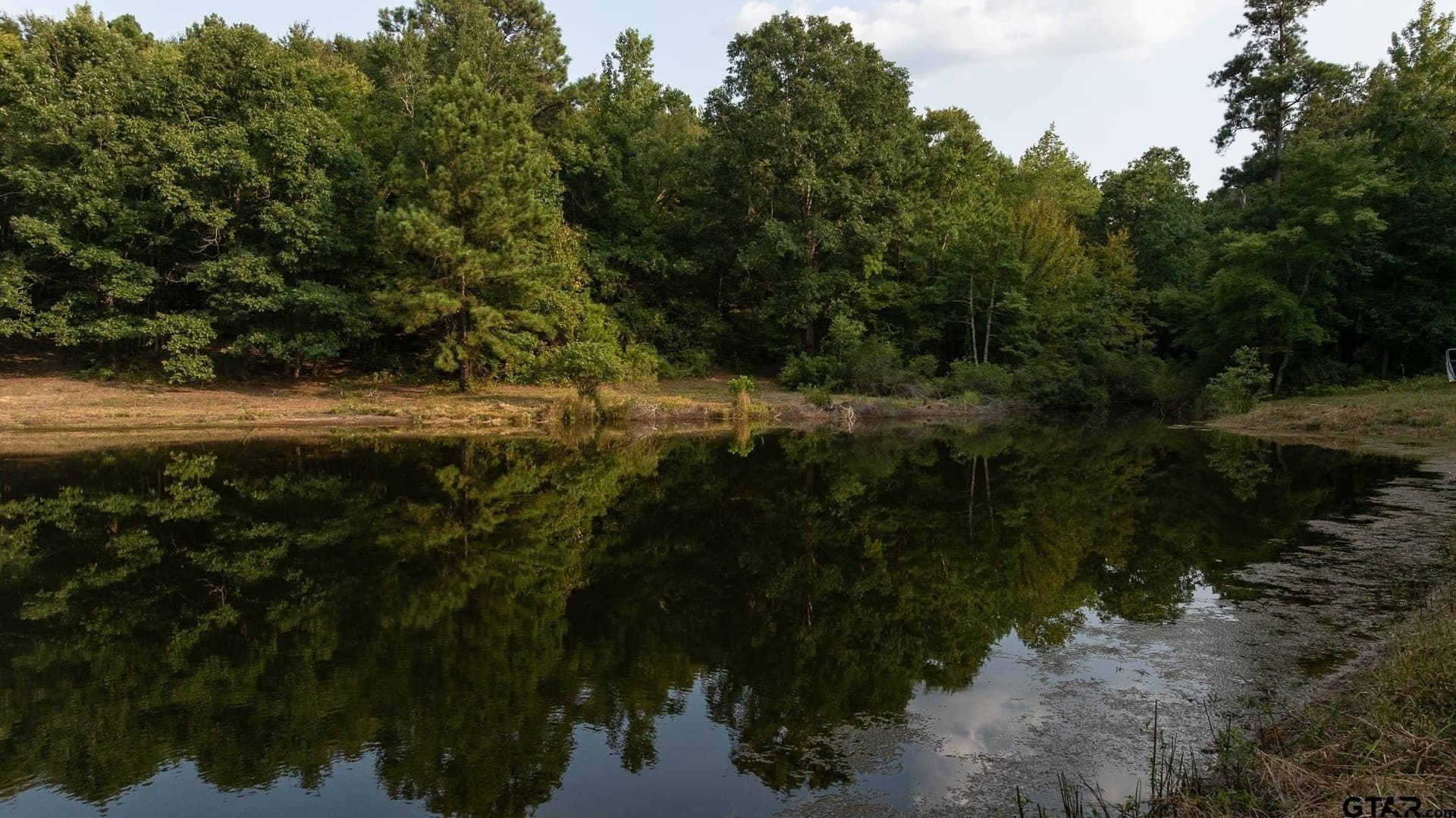 119 acres in Smith County - photo 25