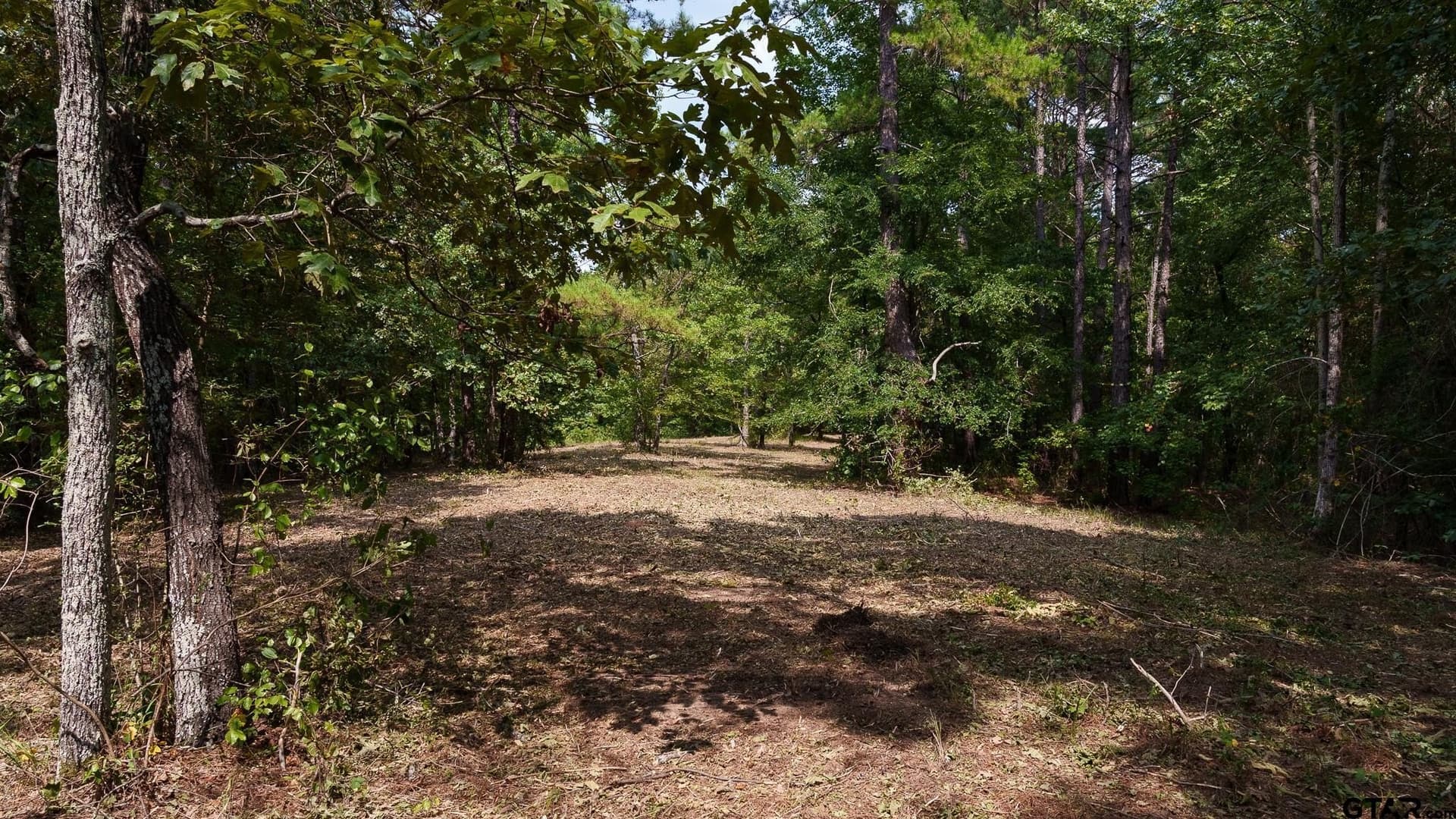 119 acres in Smith County - photo 11