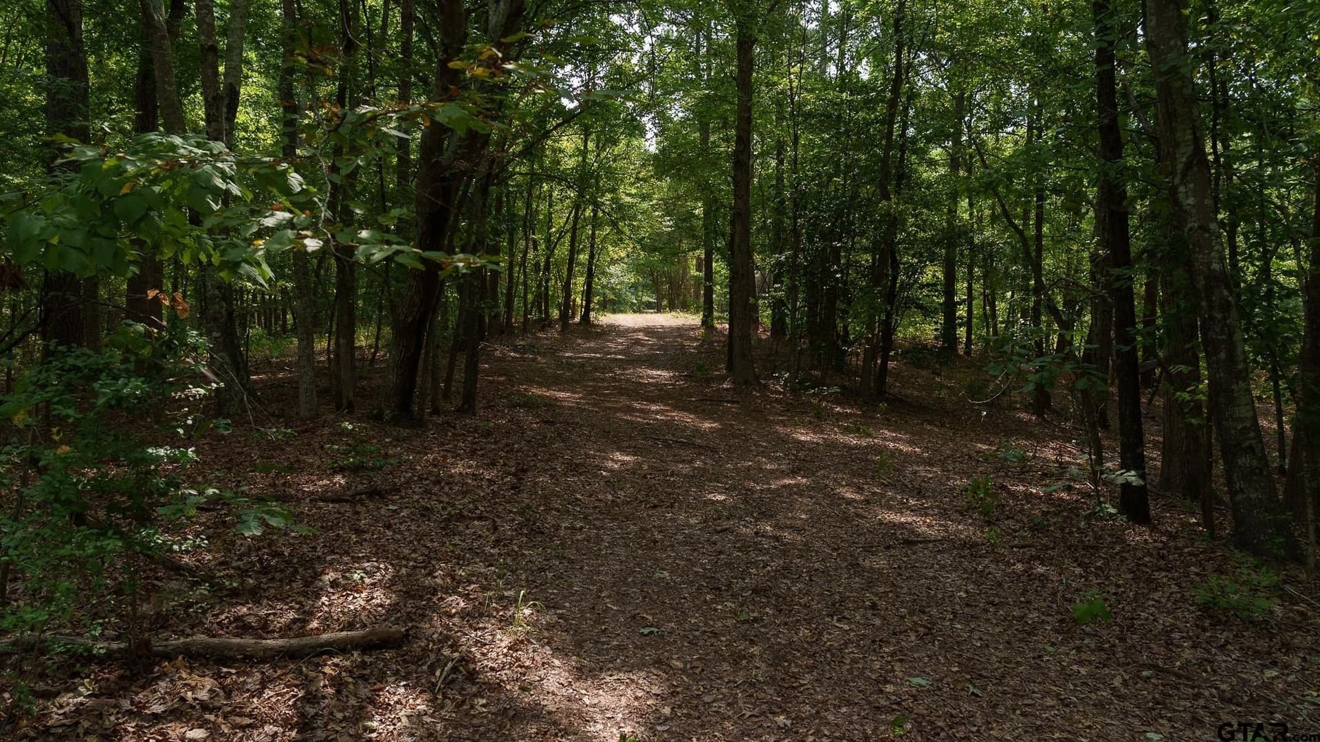 119 acres in Smith County - photo 13