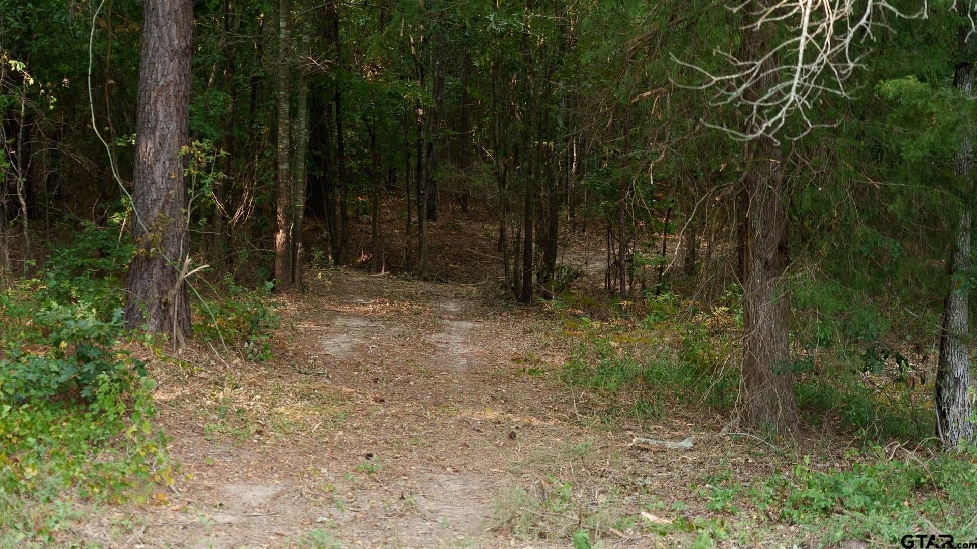 119 acres in Smith County - photo 29