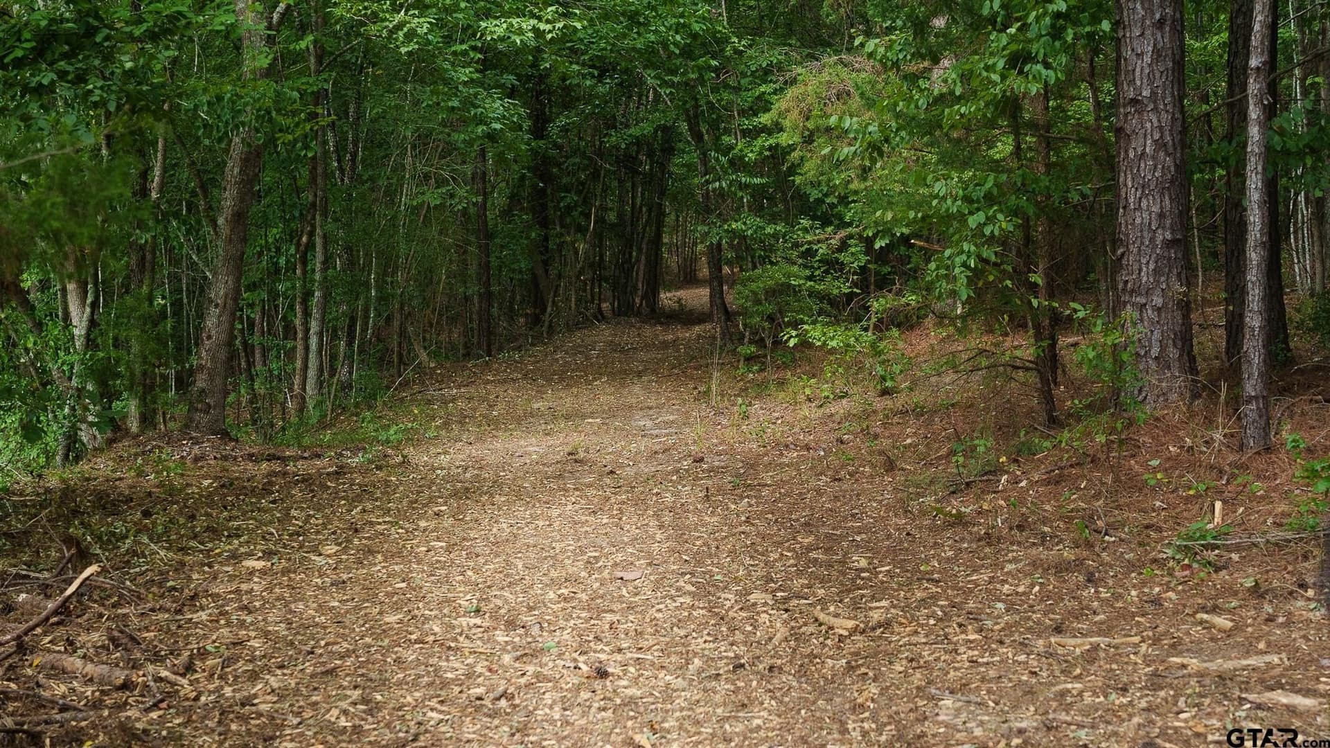 119 acres in Smith County - photo 14