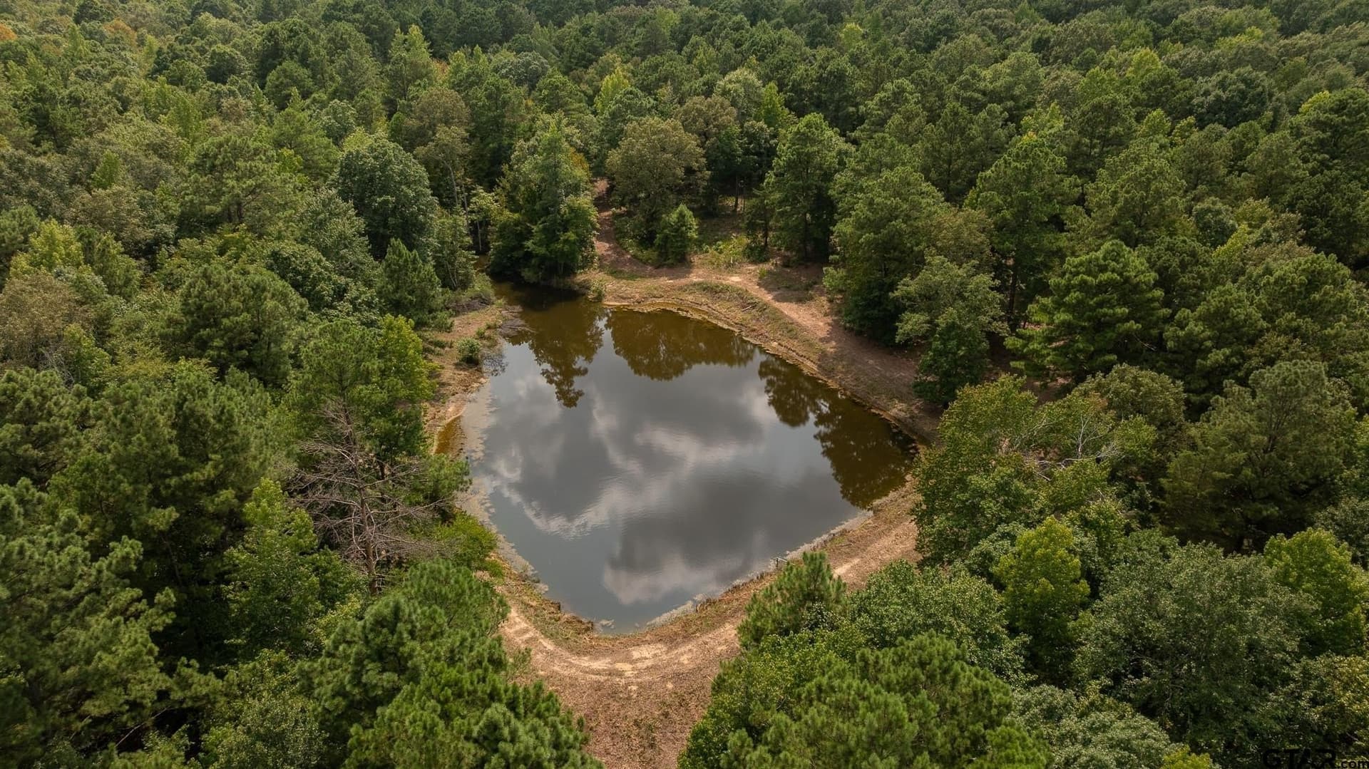 119 acres in Smith County - photo 6