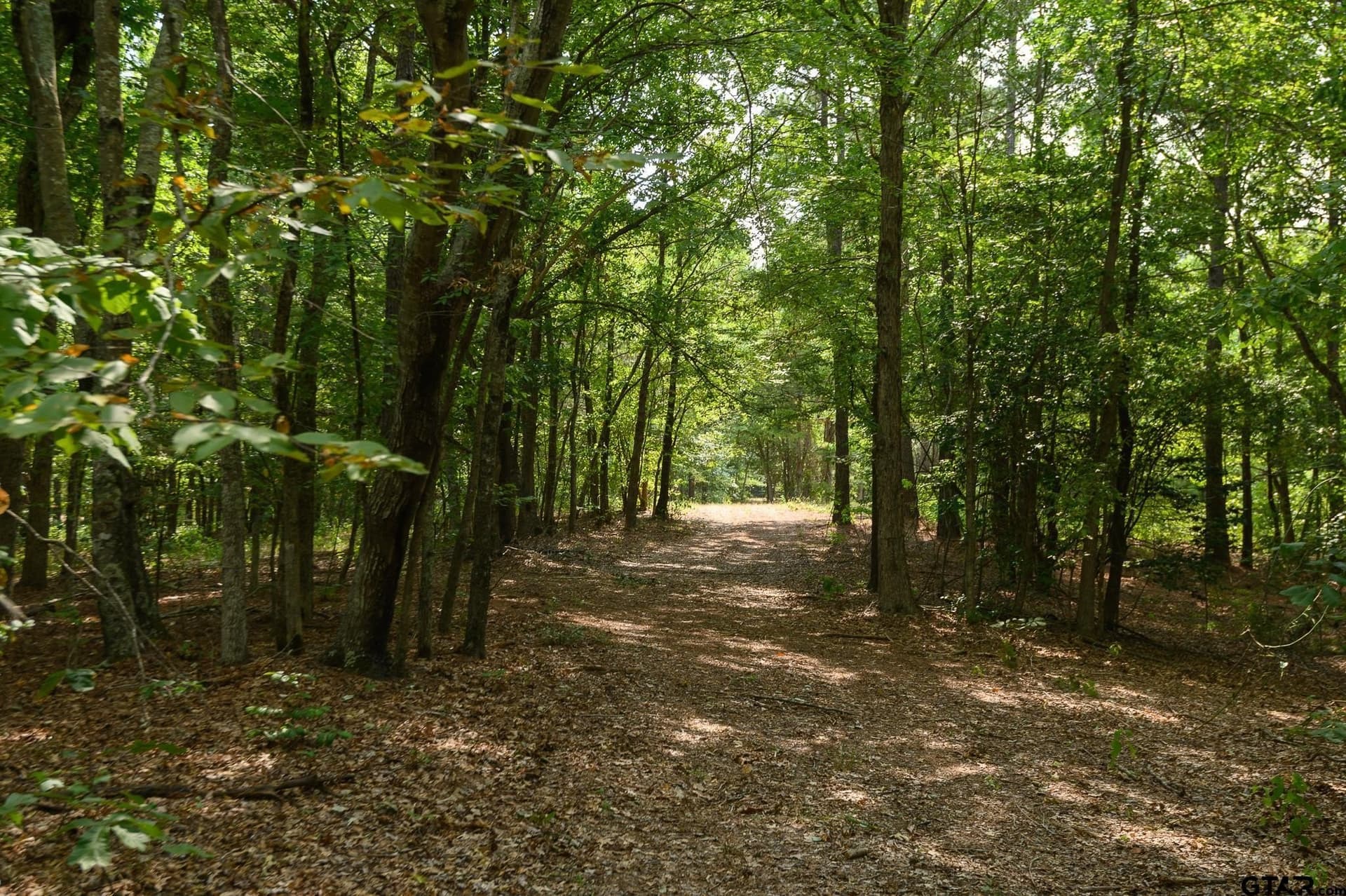 119 acres in Smith County - photo 18