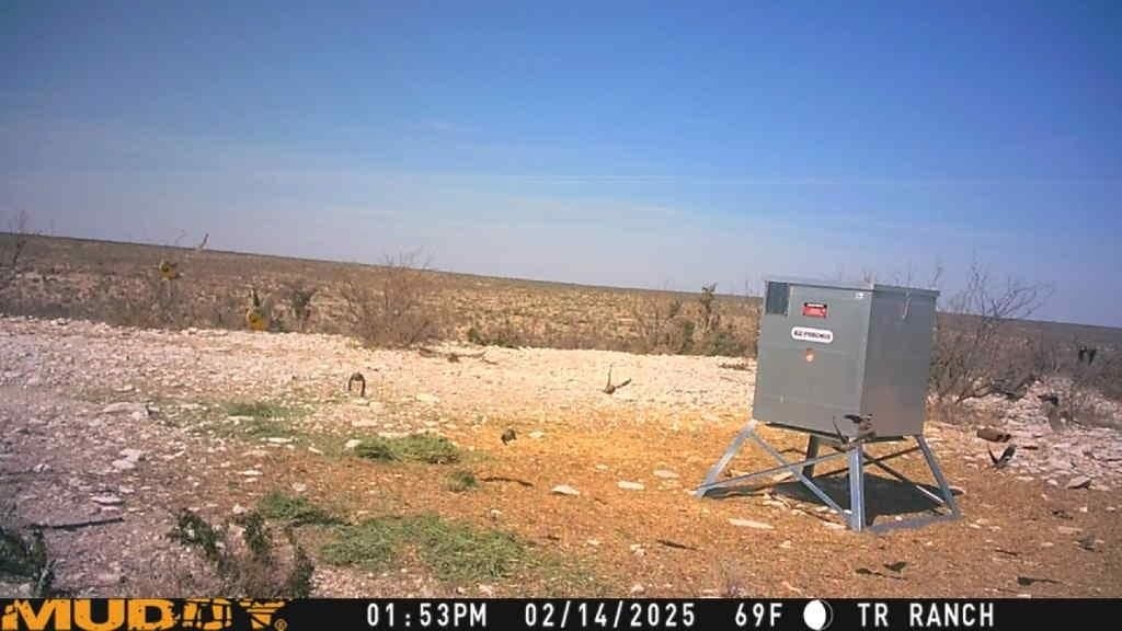 199.44 acres in Val Verde County gallery image 4