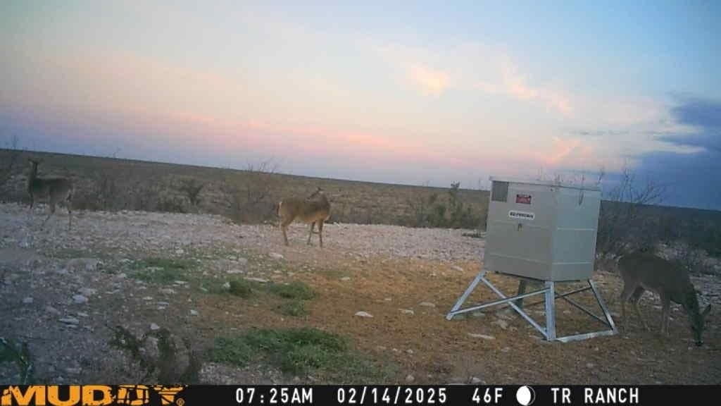 199.44 acres in Val Verde County featured view