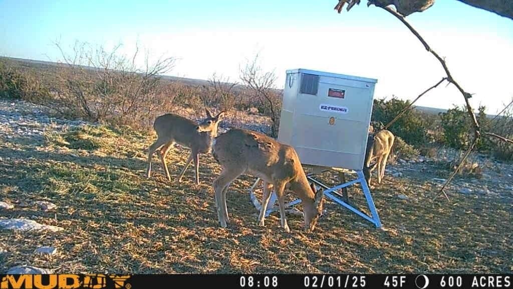 199.44 acres in Val Verde County gallery image 2