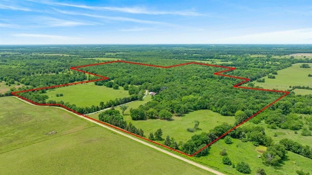 133.71 acres in Lamar County gallery image 2