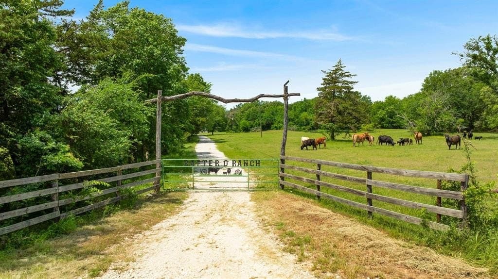 133.71 acres in Lamar County