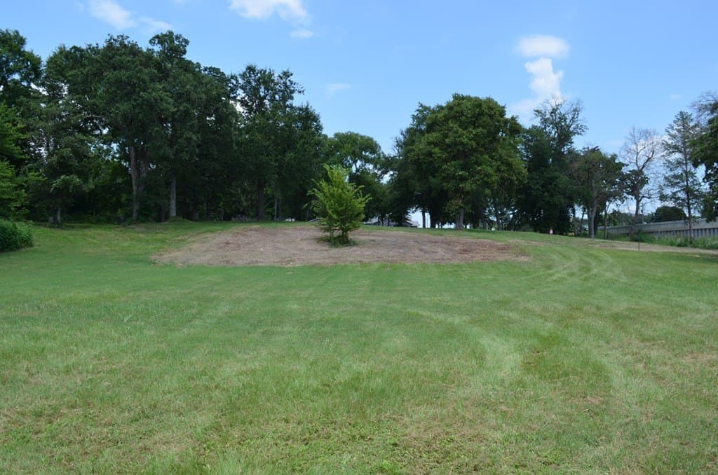 2.35 acres in Henderson County - photo 8
