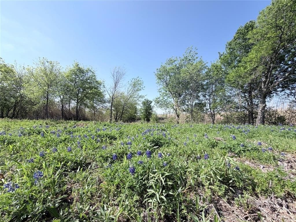 10 acres in Hill County gallery image 3