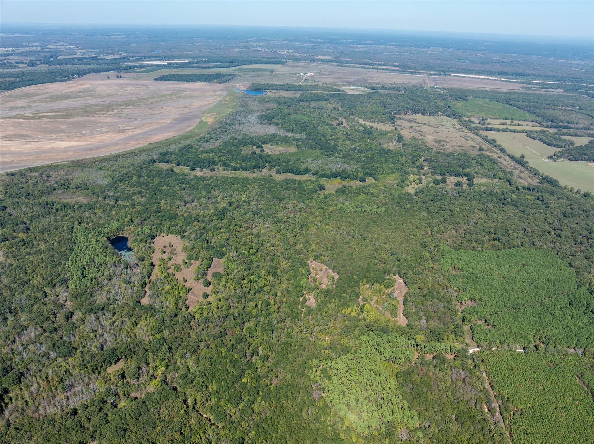 310 acres in Red River (TX) County - photo 10