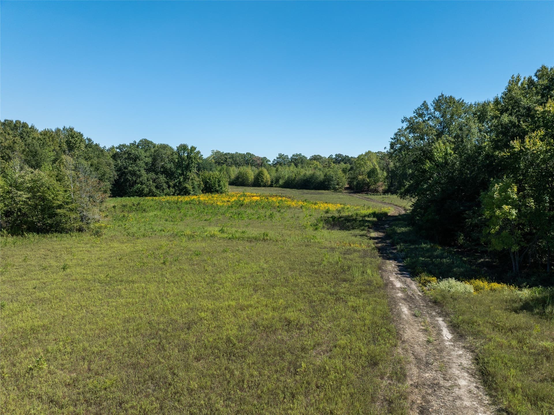 310 acres in Red River (TX) County - photo 19