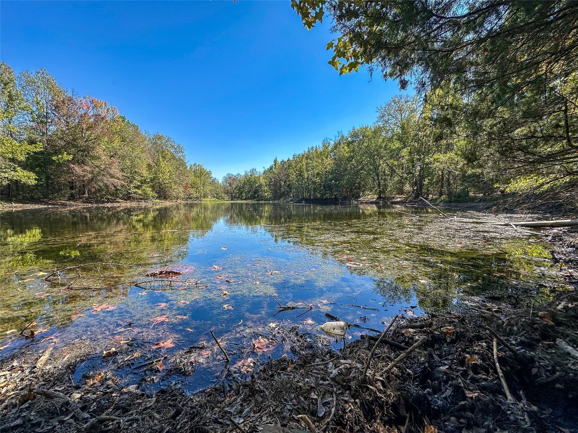 310 acres in Red River (TX) County - photo 36