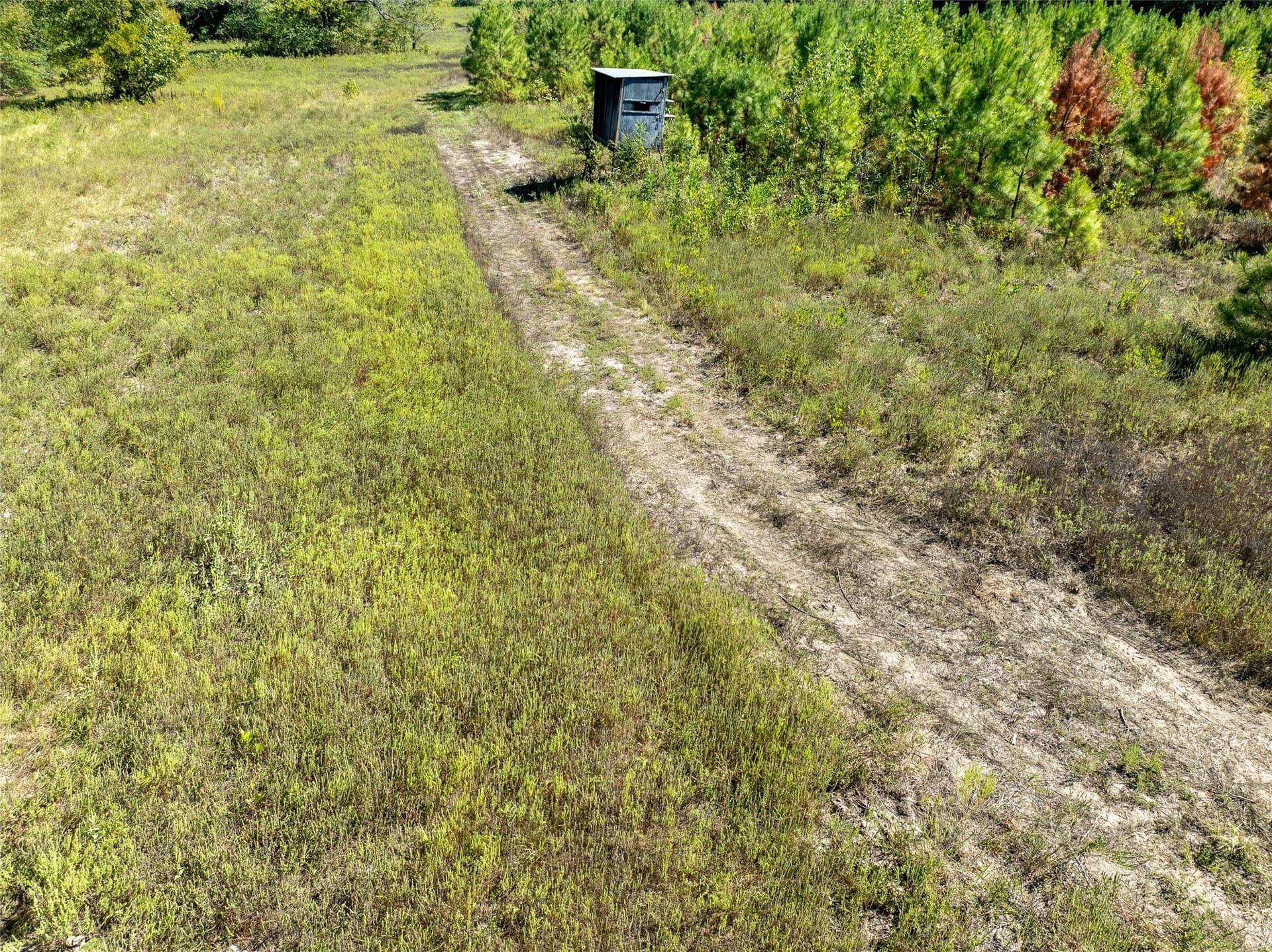 310 acres in Red River (TX) County - photo 17
