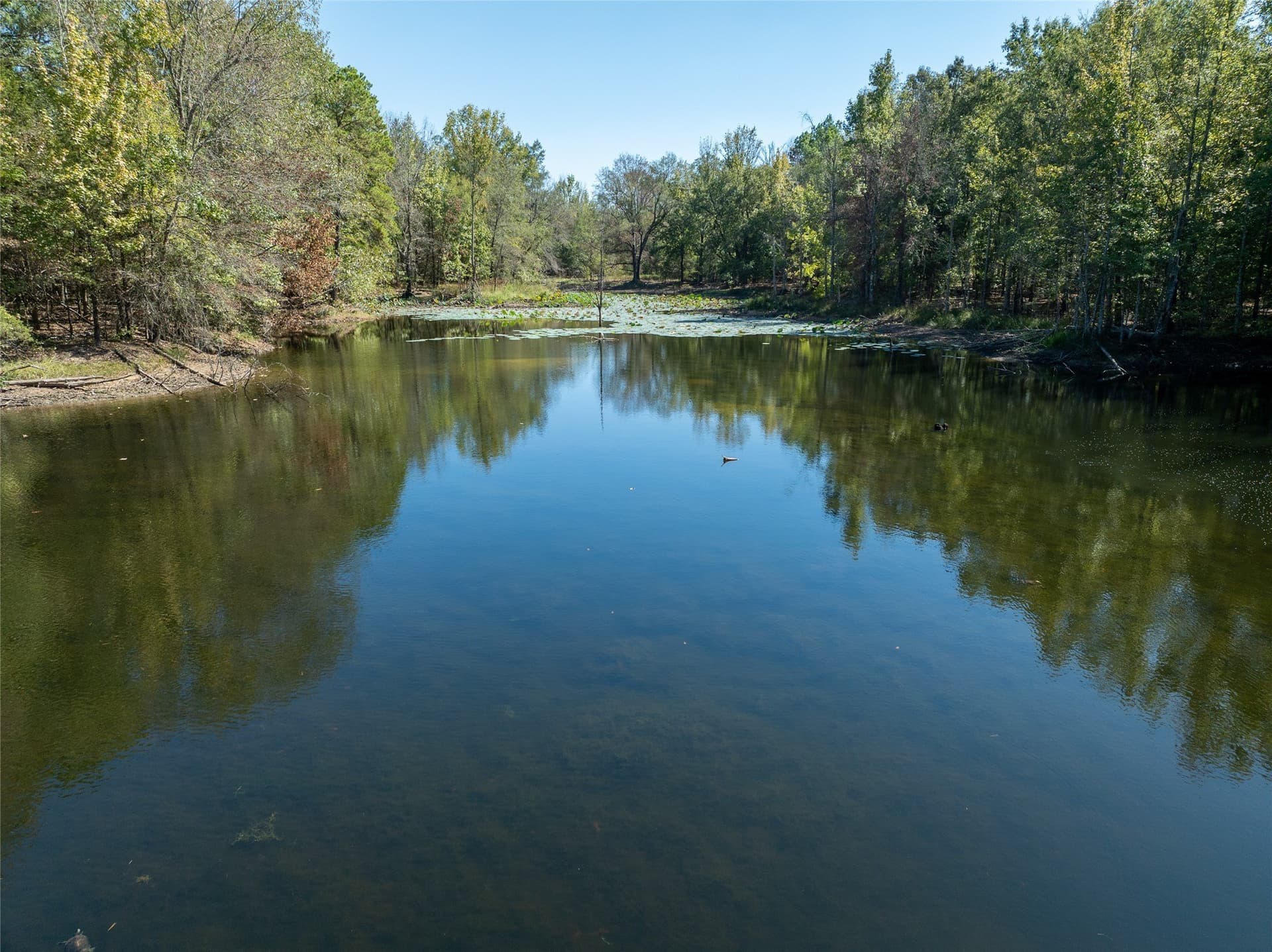 310 acres in Red River (TX) County - photo 27