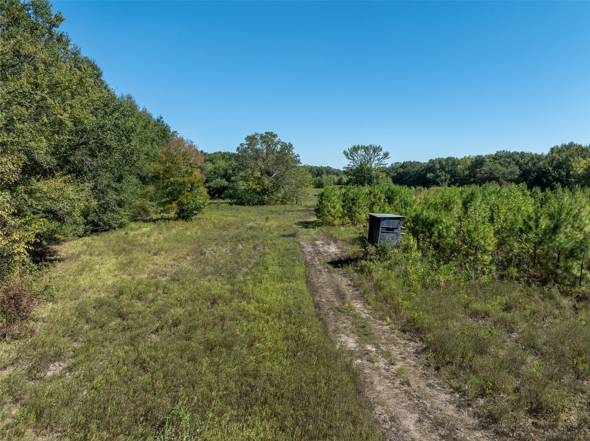 310 acres in Red River (TX) County - photo 16