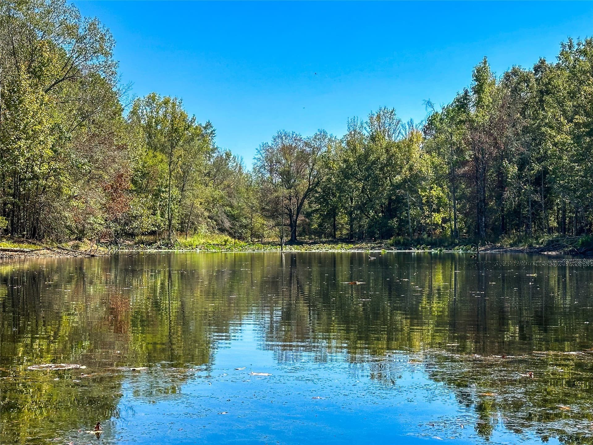 310 acres in Red River (TX) County - photo 37