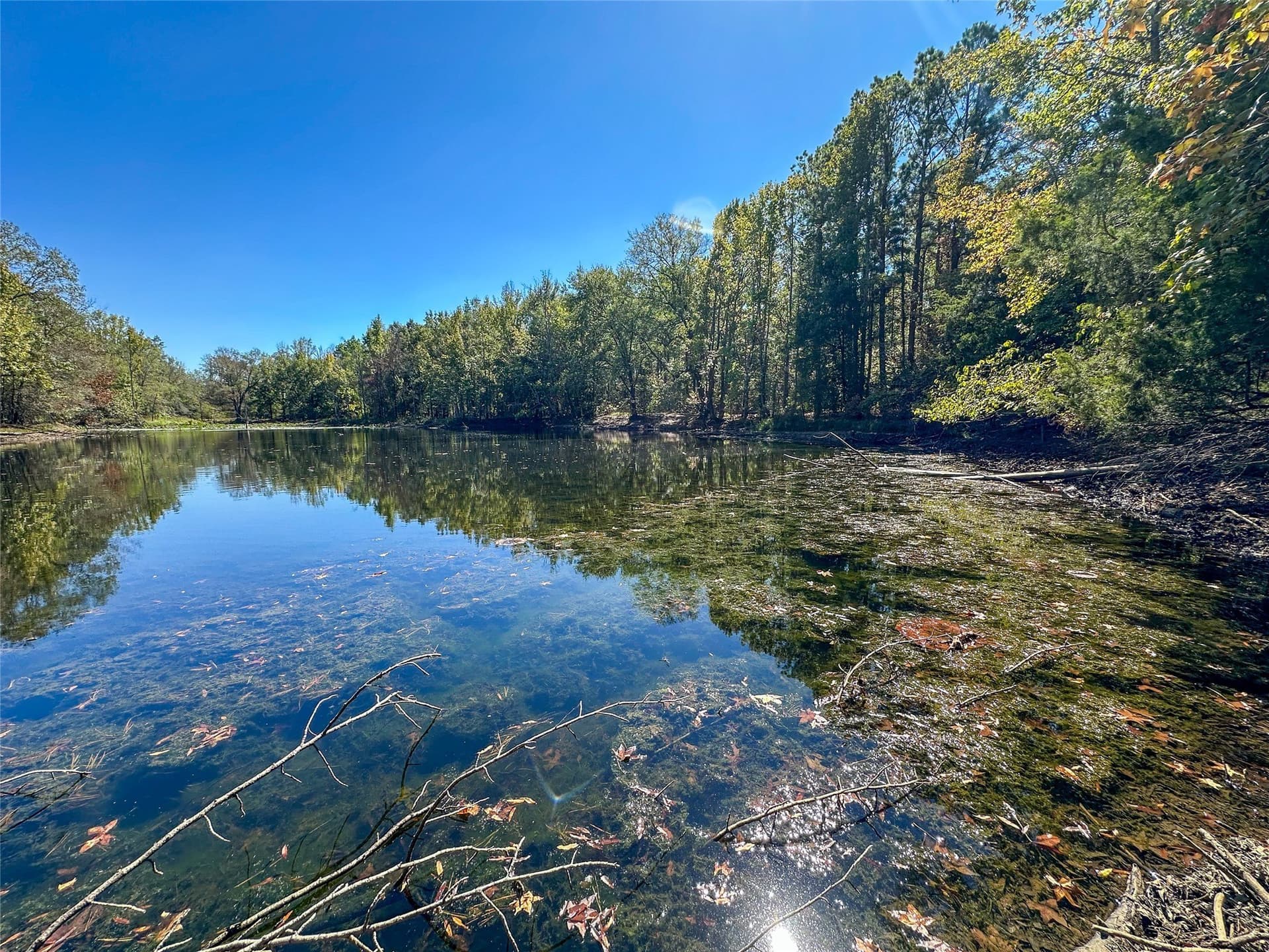 310 acres in Red River (TX) County - photo 34