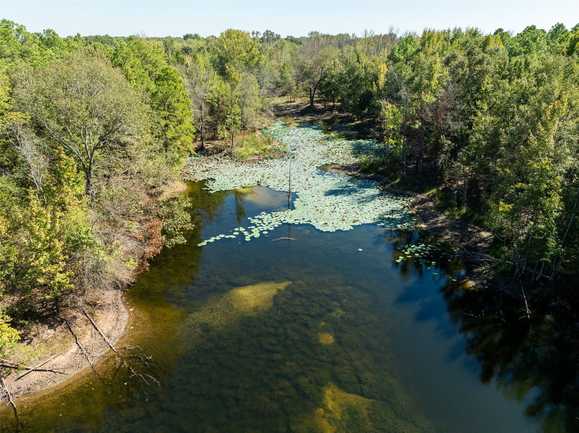 310 acres in Red River (TX) County - photo 29