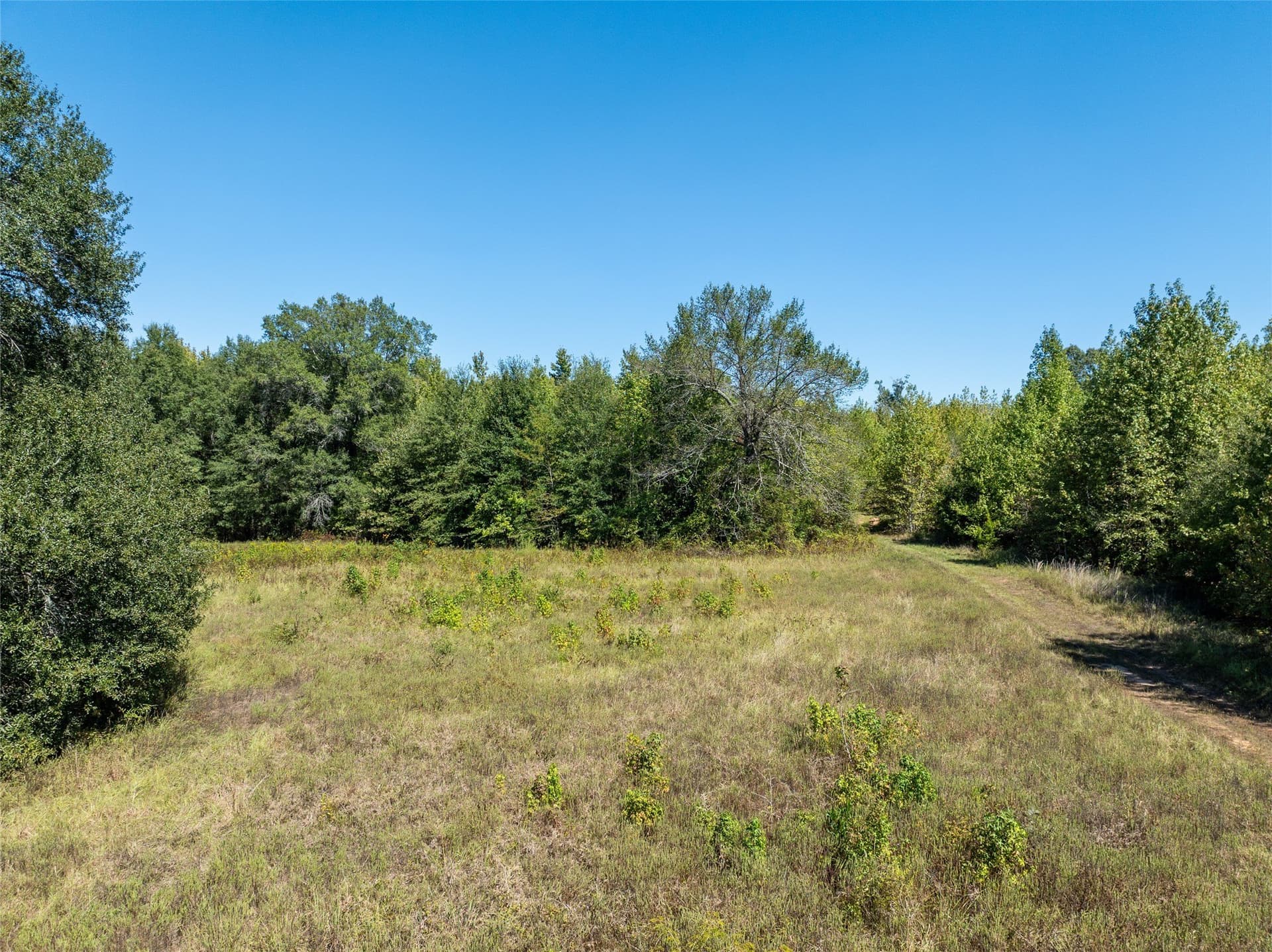 310 acres in Red River (TX) County - photo 20