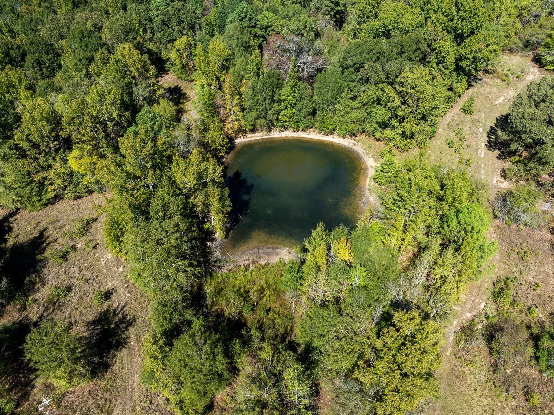 310 acres in Red River (TX) County - photo 3