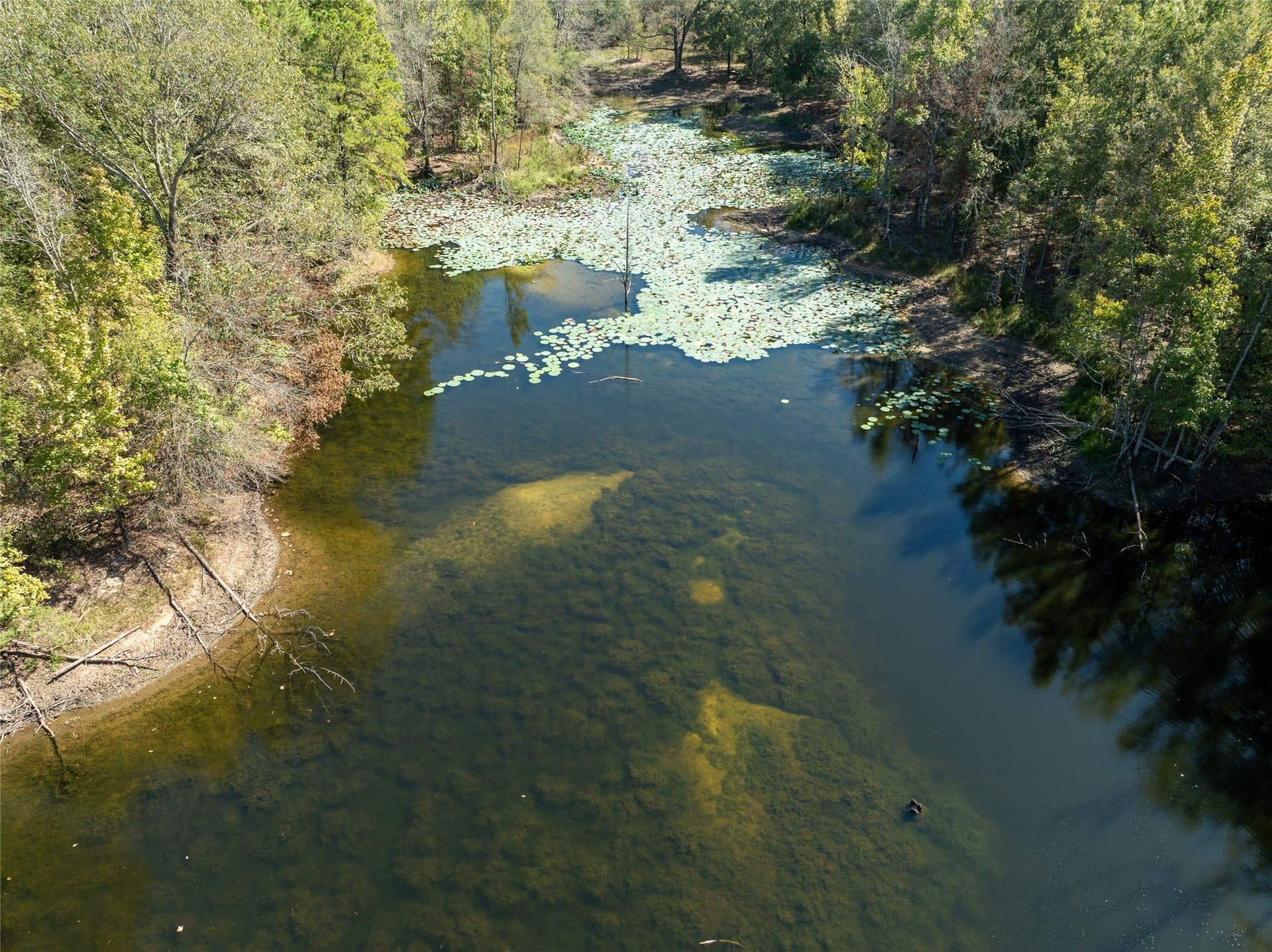 310 acres in Red River (TX) County - photo 28