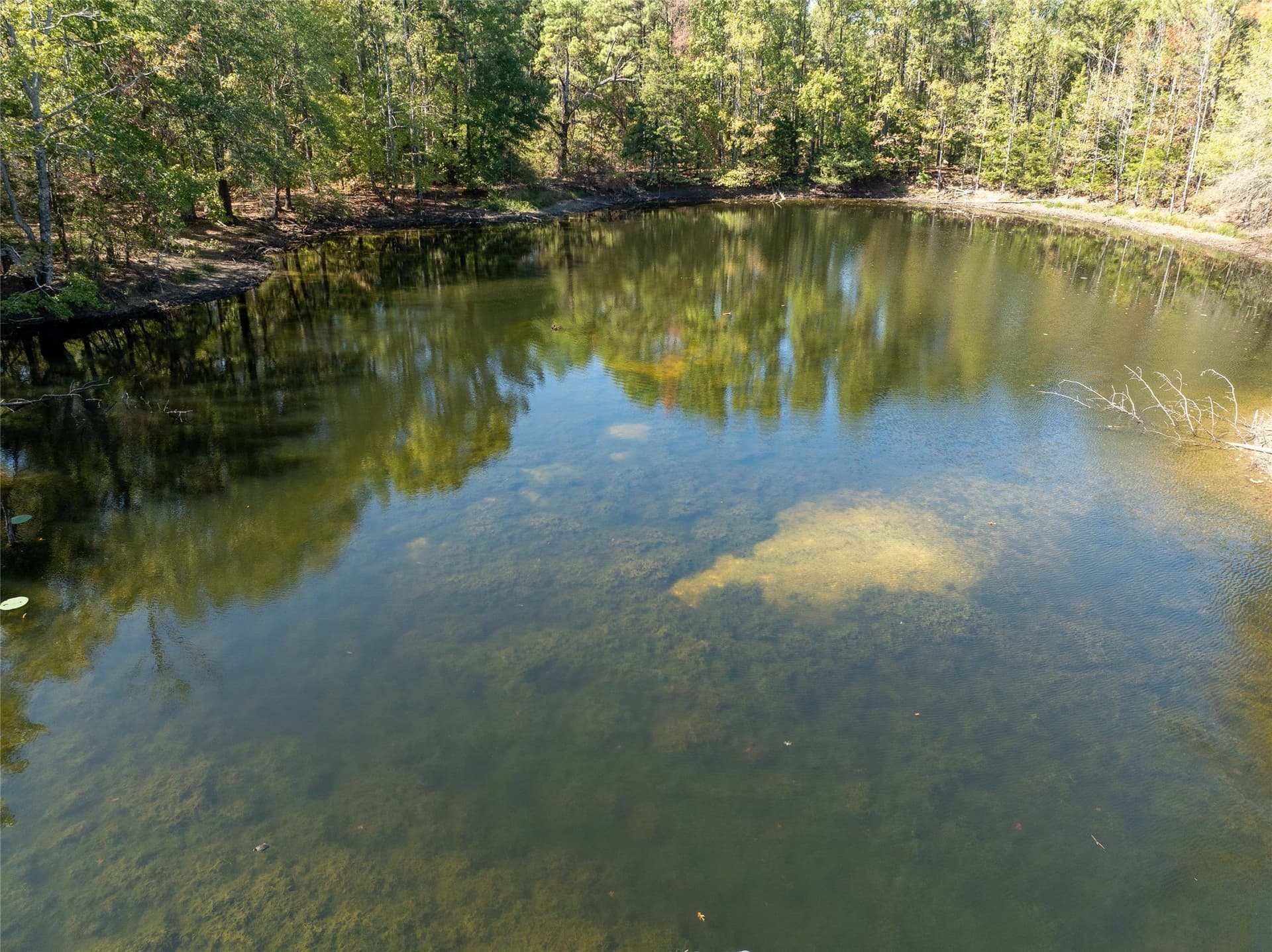 310 acres in Red River (TX) County - photo 26