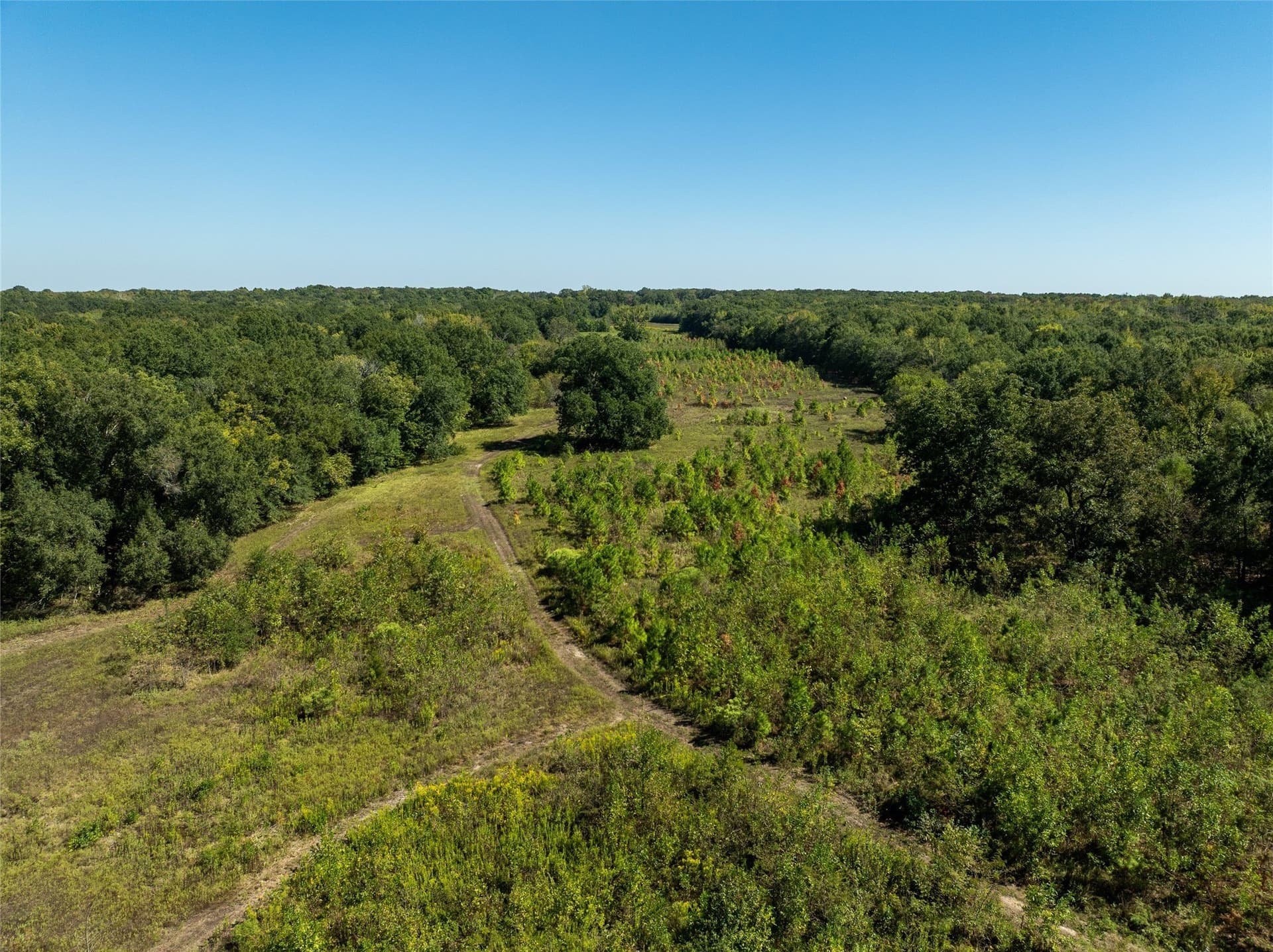310 acres in Red River (TX) County - photo 14