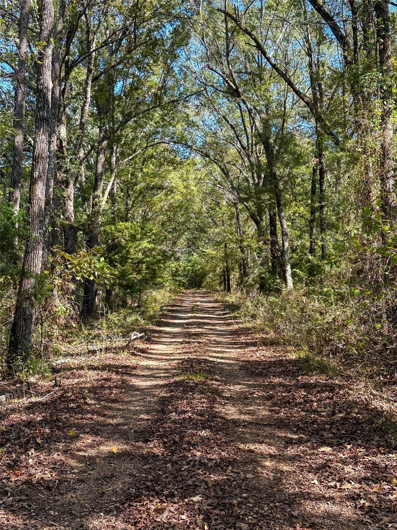 310 acres in Red River (TX) County - photo 38