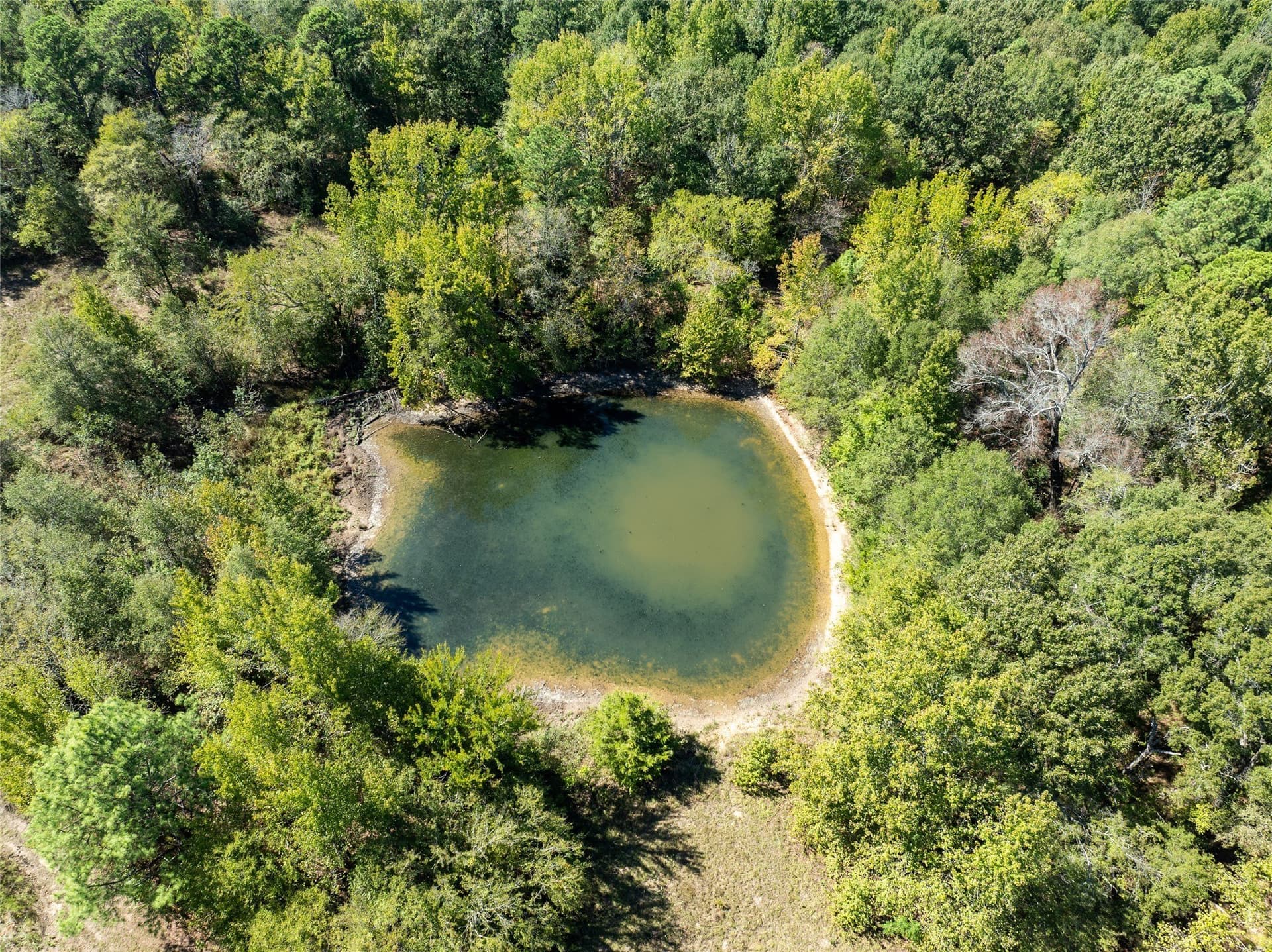 310 acres in Red River (TX) County - photo 4