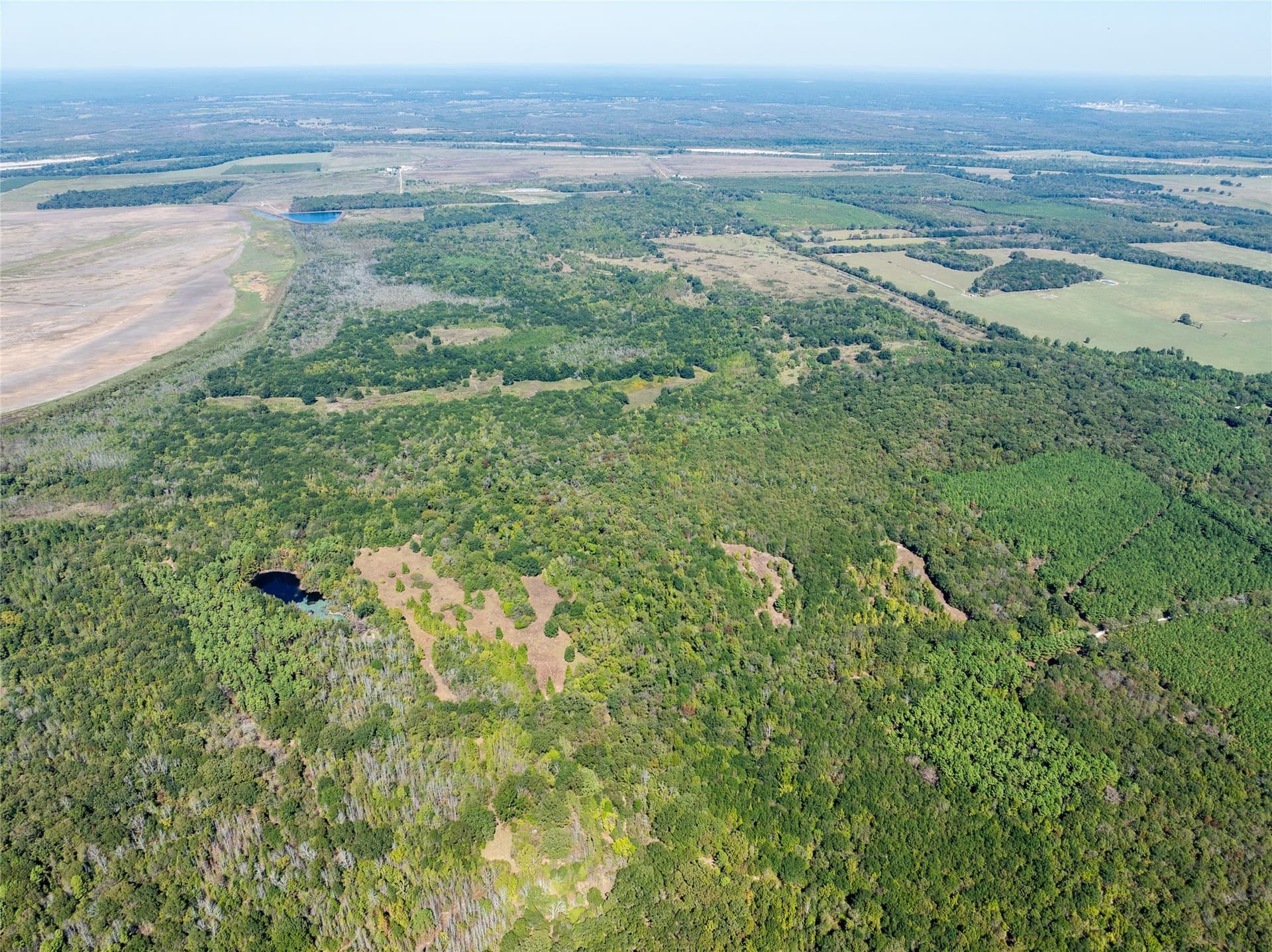 310 acres in Red River (TX) County - photo 9