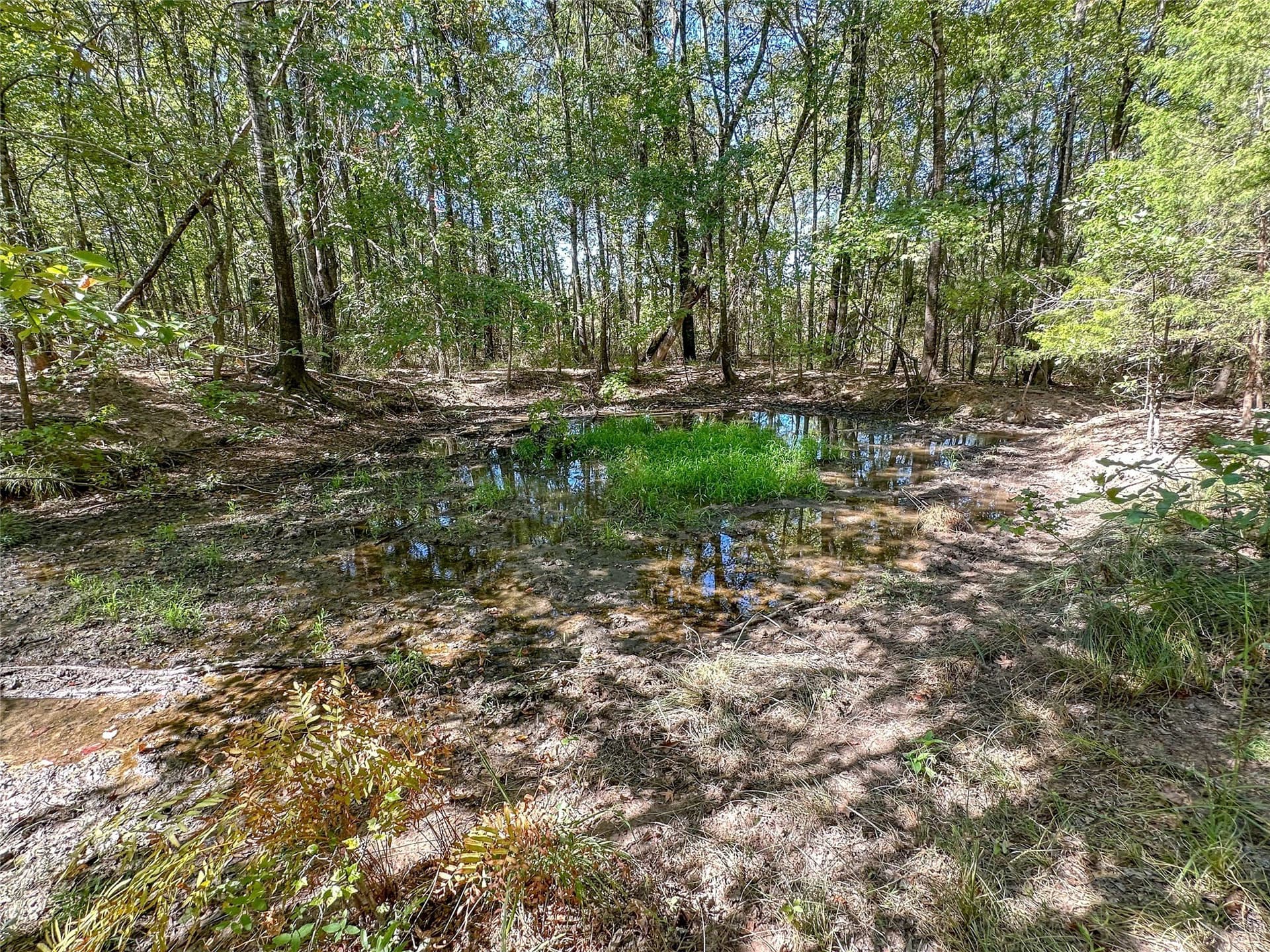 310 acres in Red River (TX) County - photo 32