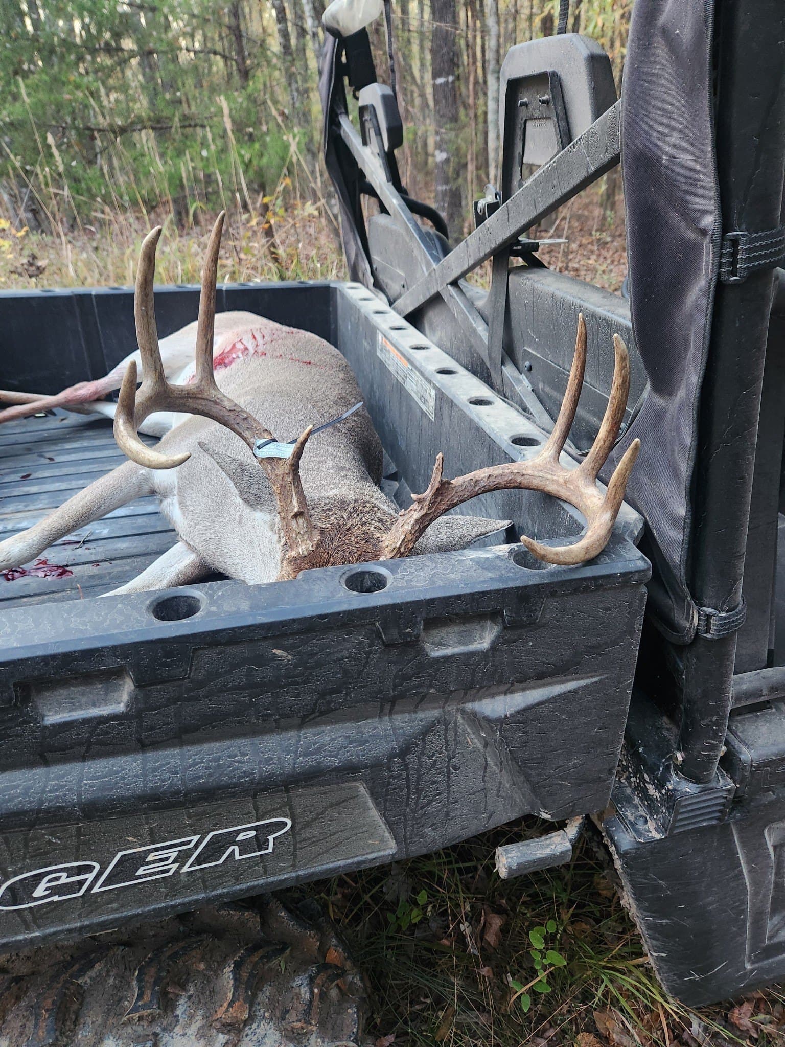 310 acres in Red River (TX) County - photo 8
