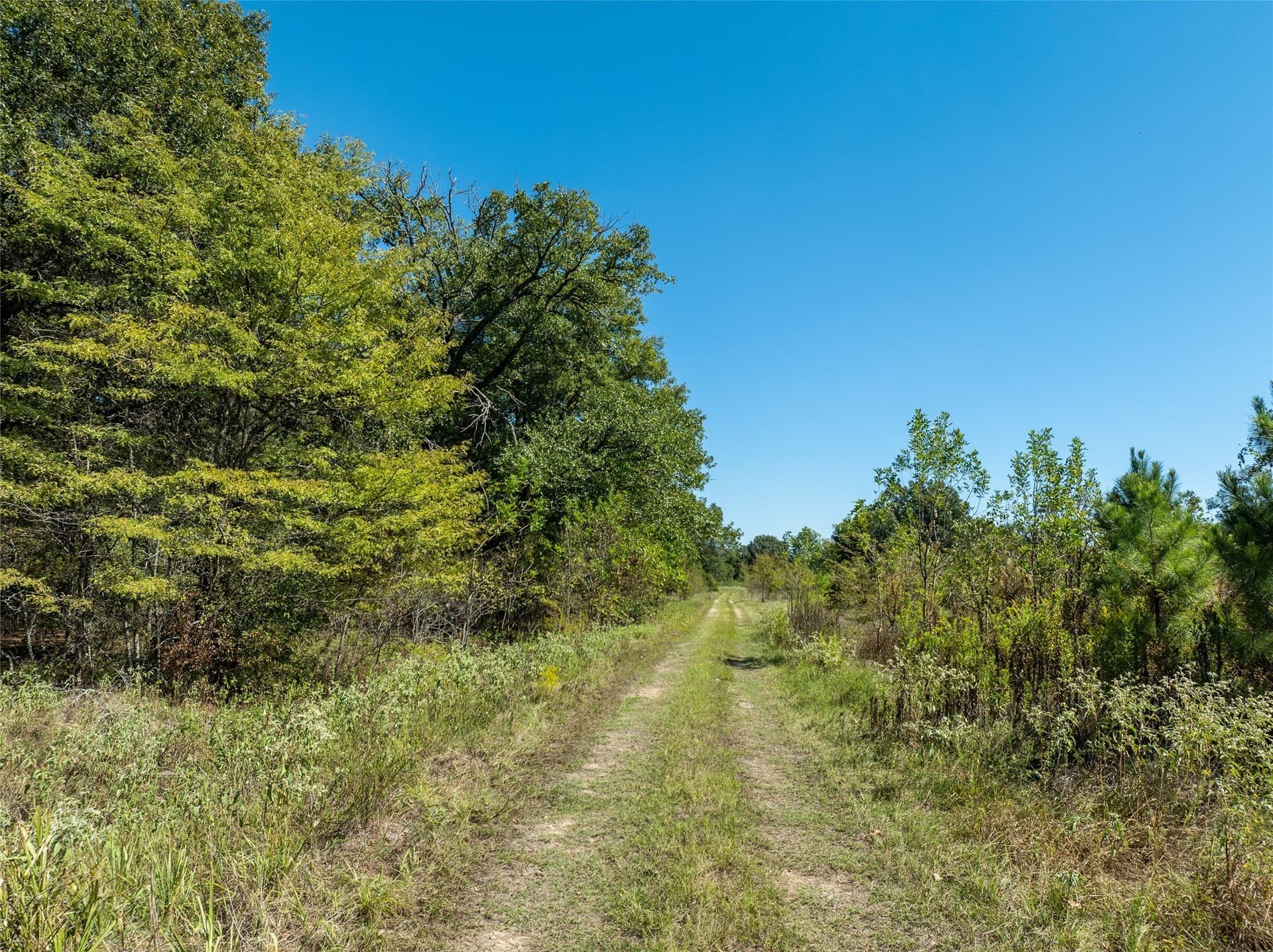 310 acres in Red River (TX) County - photo 23