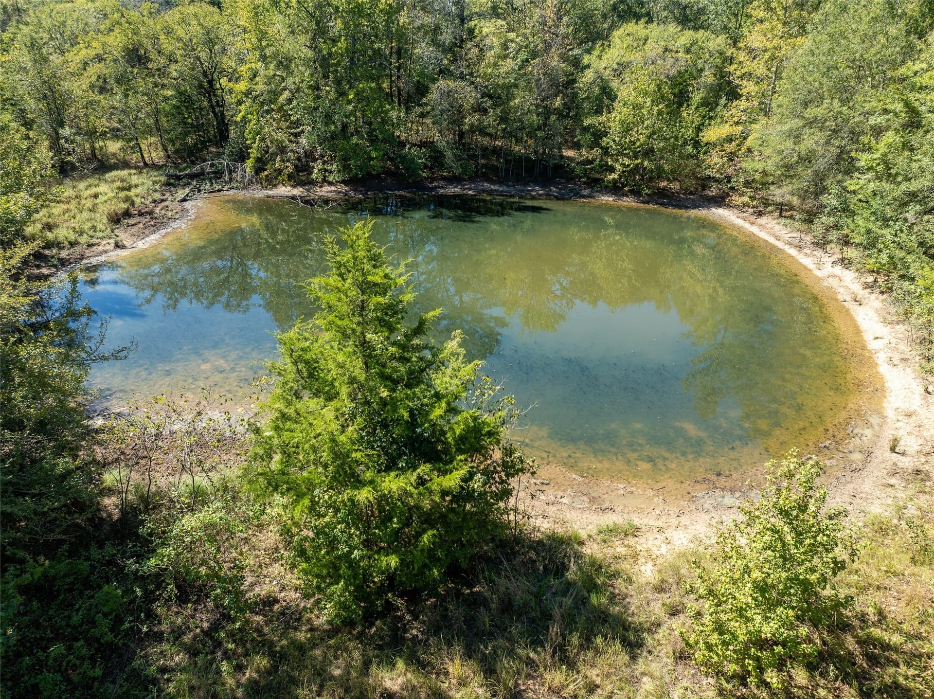 310 acres in Red River (TX) County - photo 6