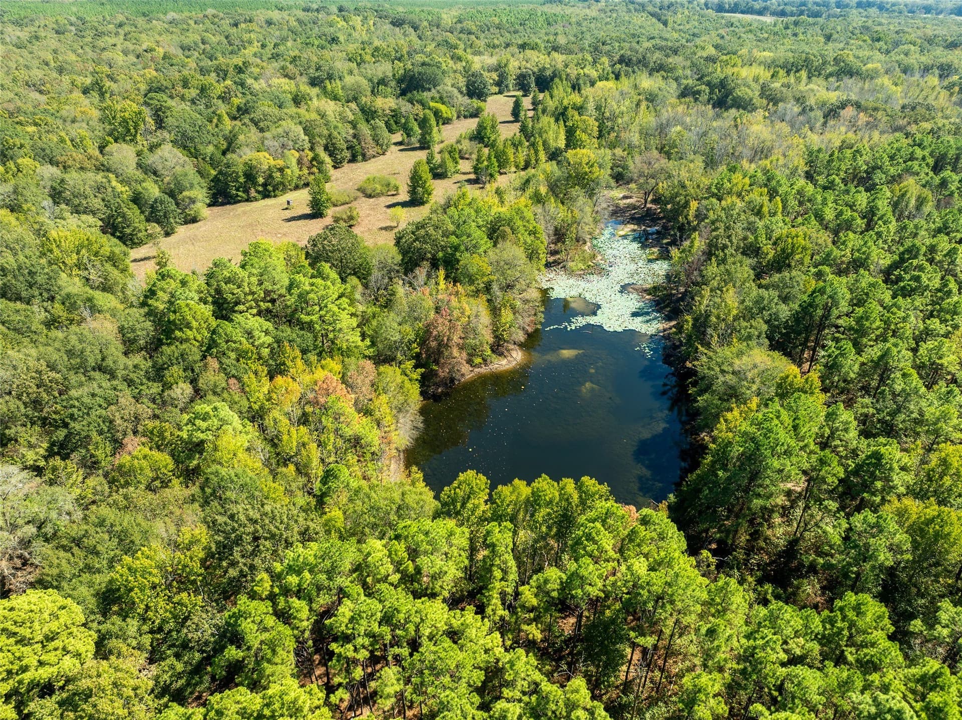 310 acres in Red River (TX) County - photo 13