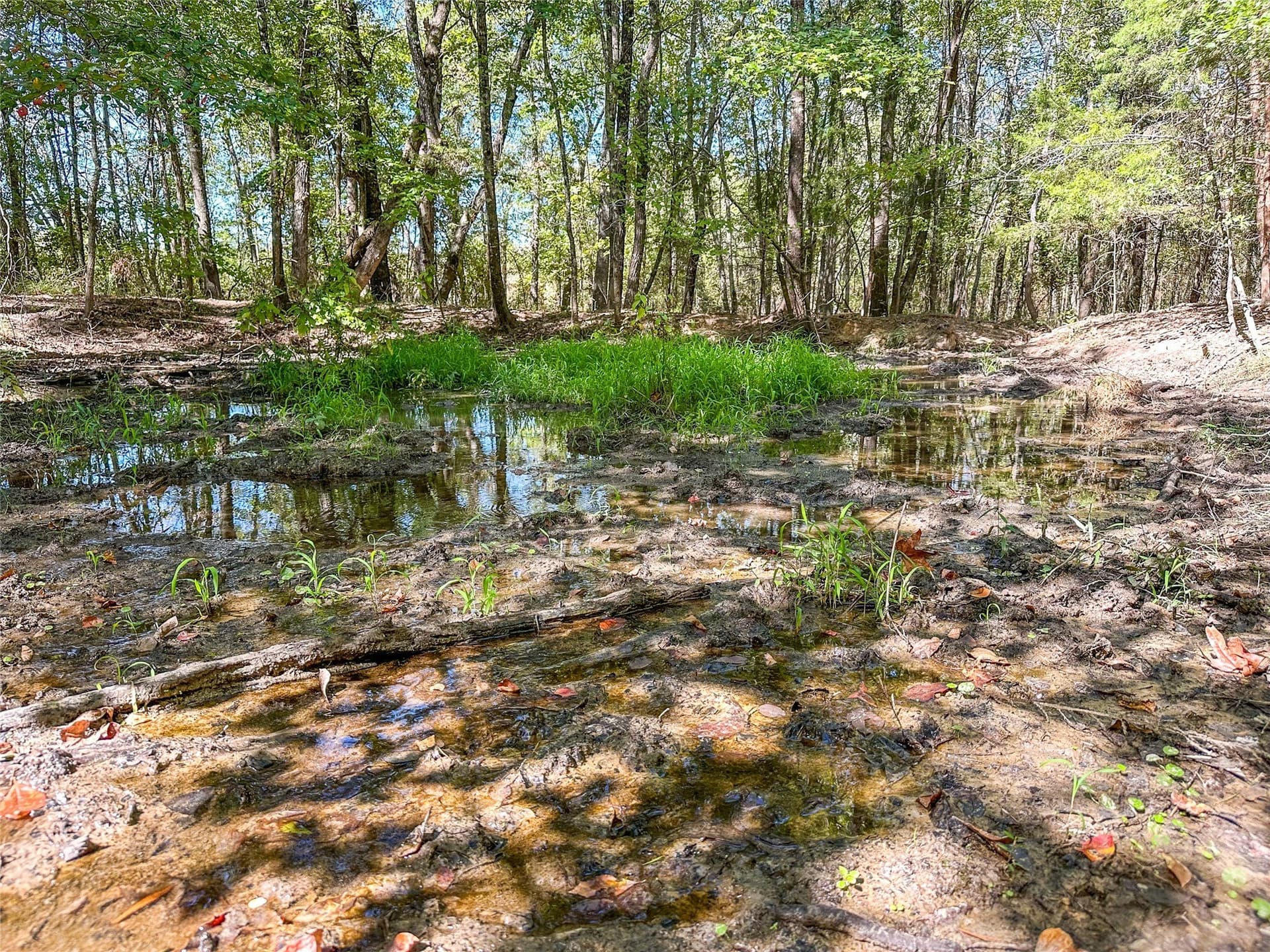 310 acres in Red River (TX) County - photo 31