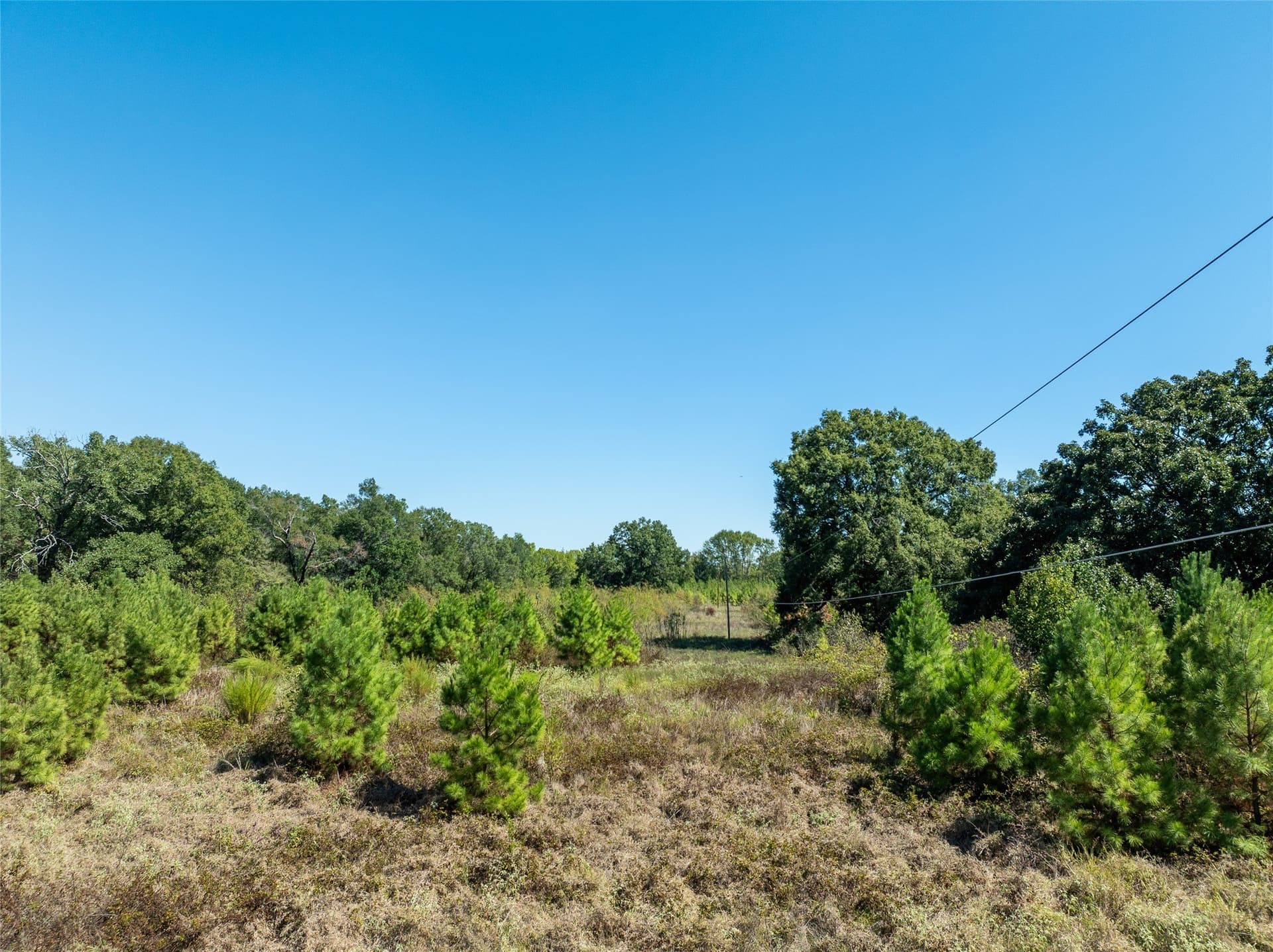 310 acres in Red River (TX) County - photo 22