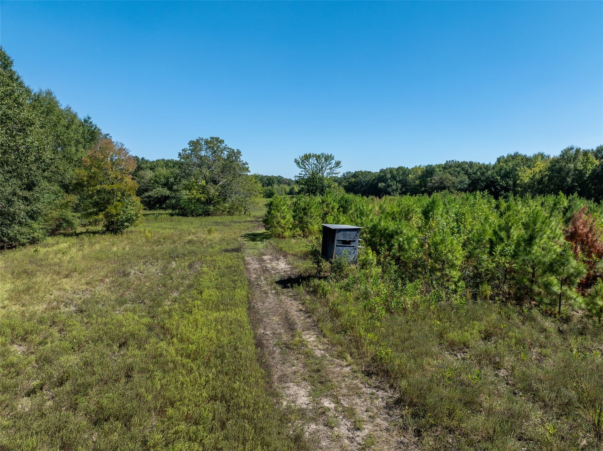 310 acres in Red River (TX) County - photo 18