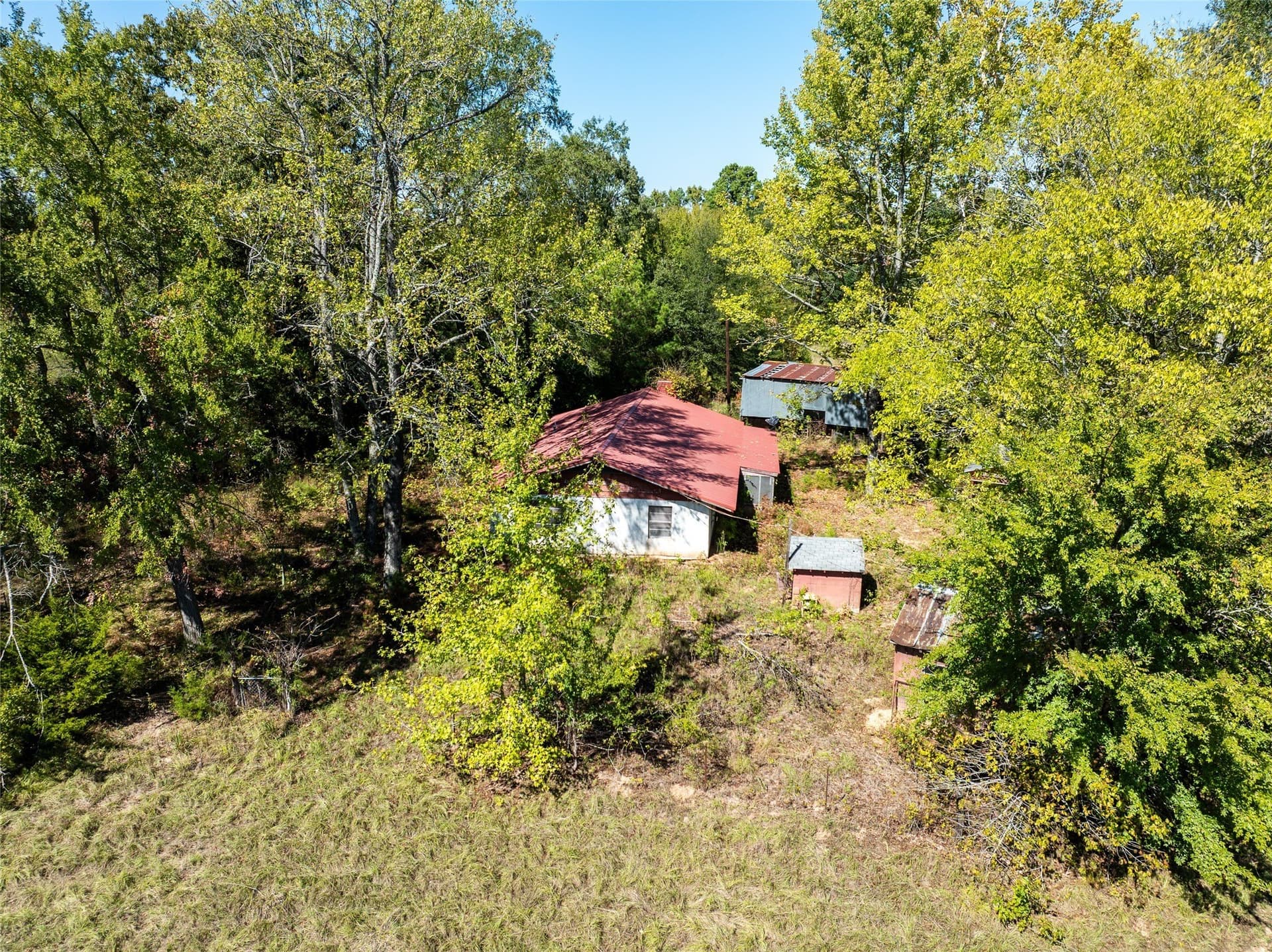 310 acres in Red River (TX) County - photo 21