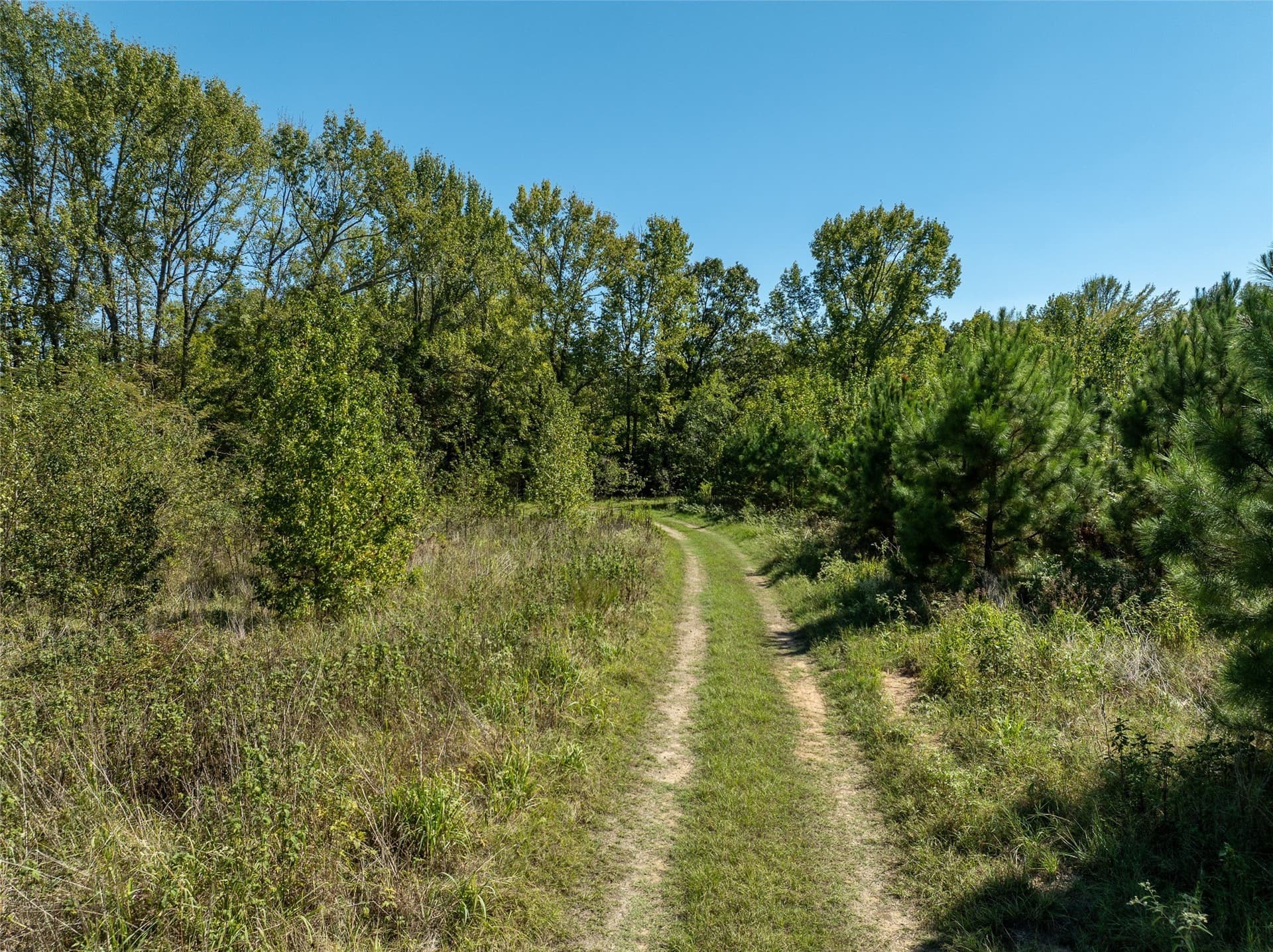 310 acres in Red River (TX) County - photo 24