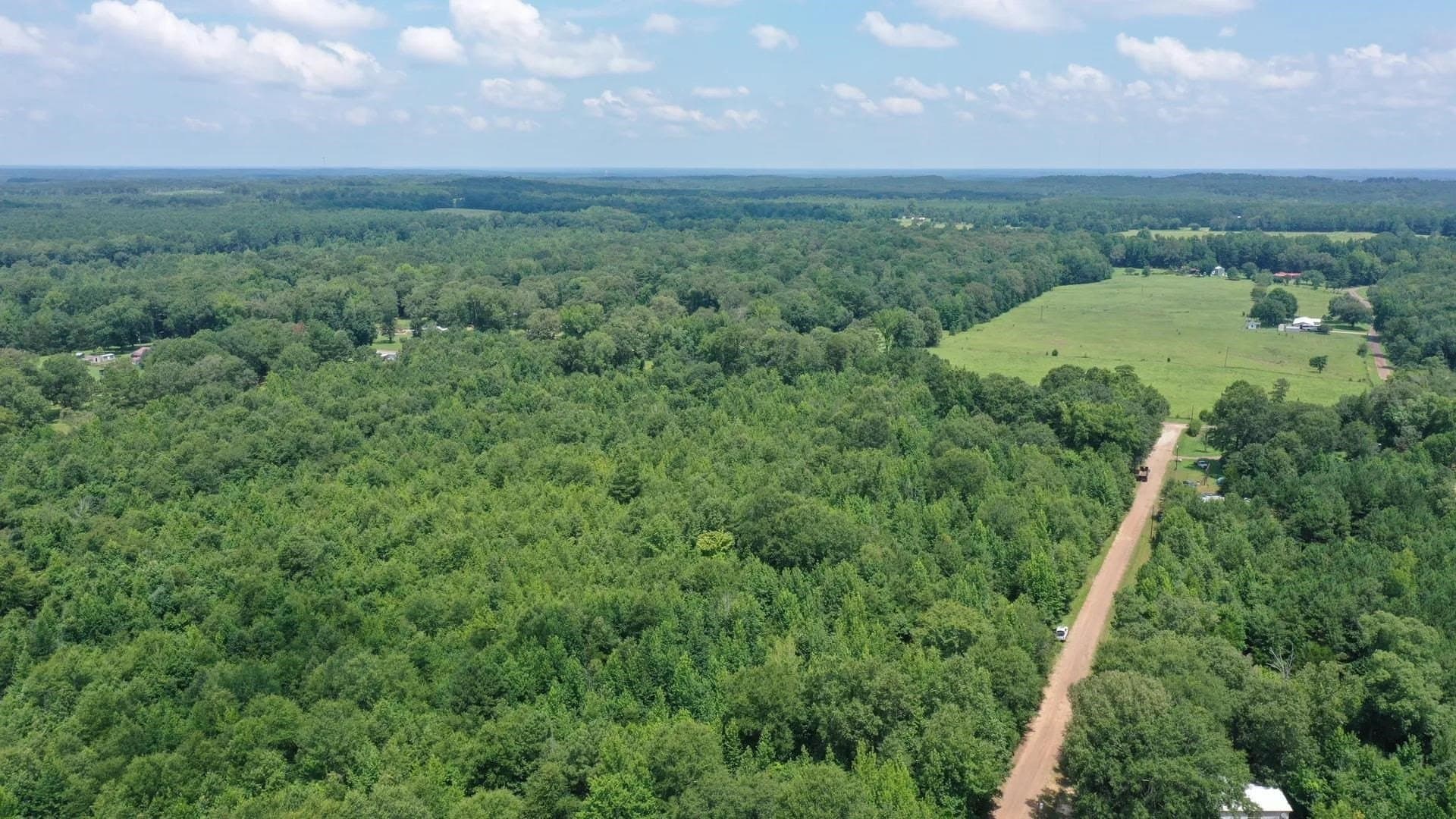 2 acres in Cass County - photo 13