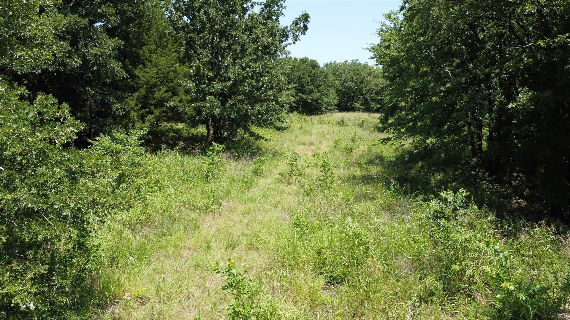 39.23 acres in Grayson County - photo 9