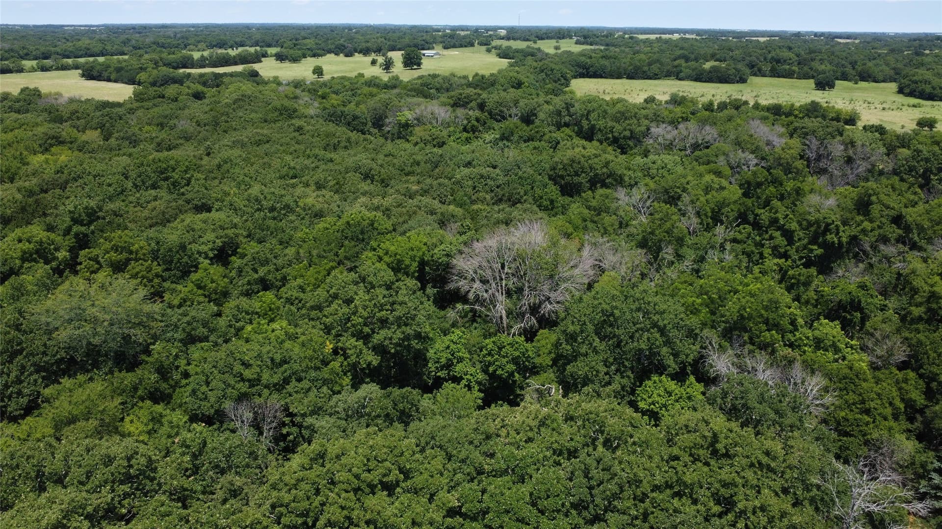 39.23 acres in Grayson County - photo 17