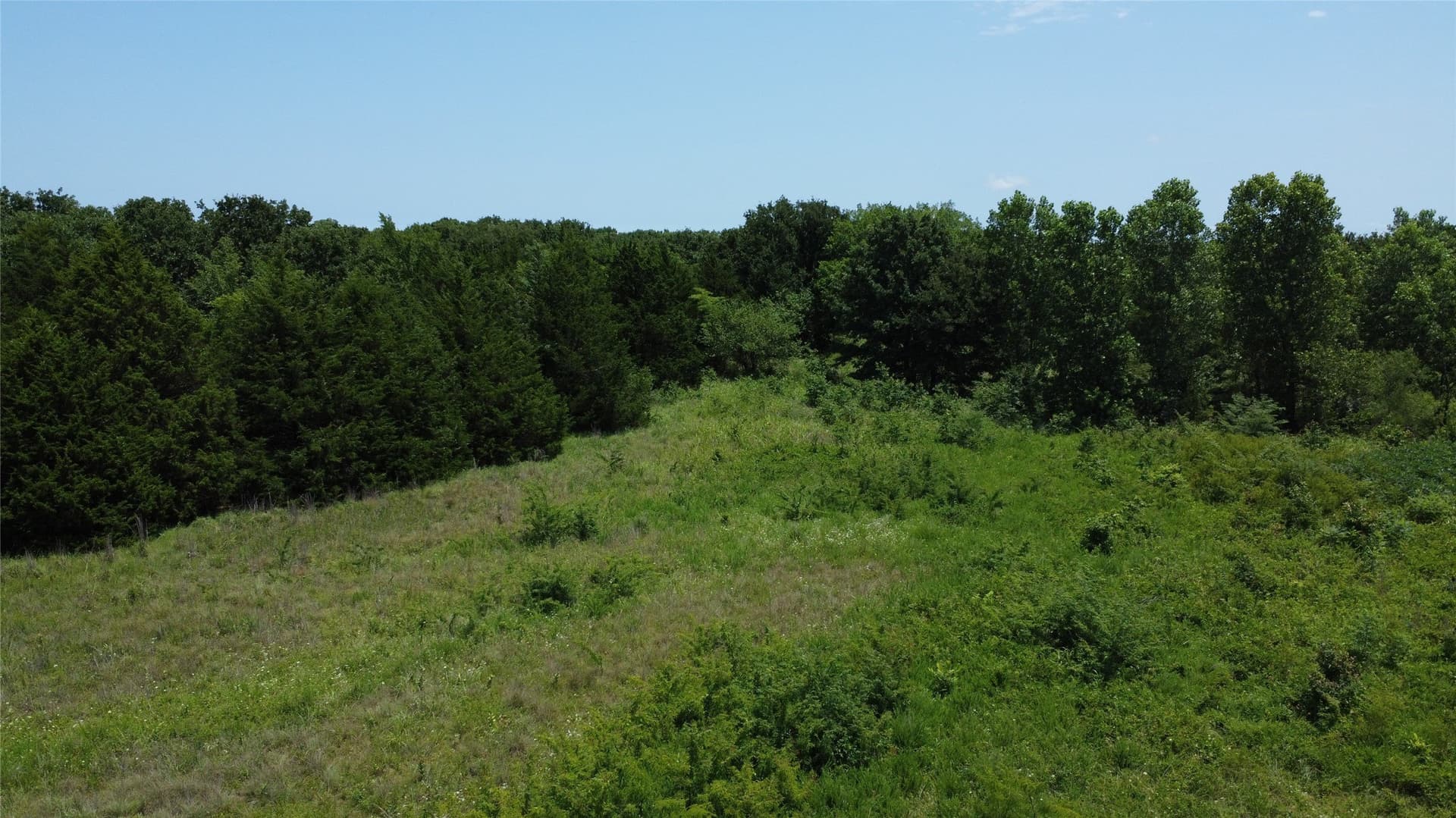 39.23 acres in Grayson County - photo 11